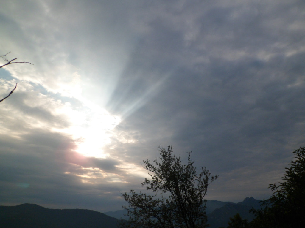 Samsung PL210, PL211 / VLUU PL210, PL211 sample photo. Luce. photography