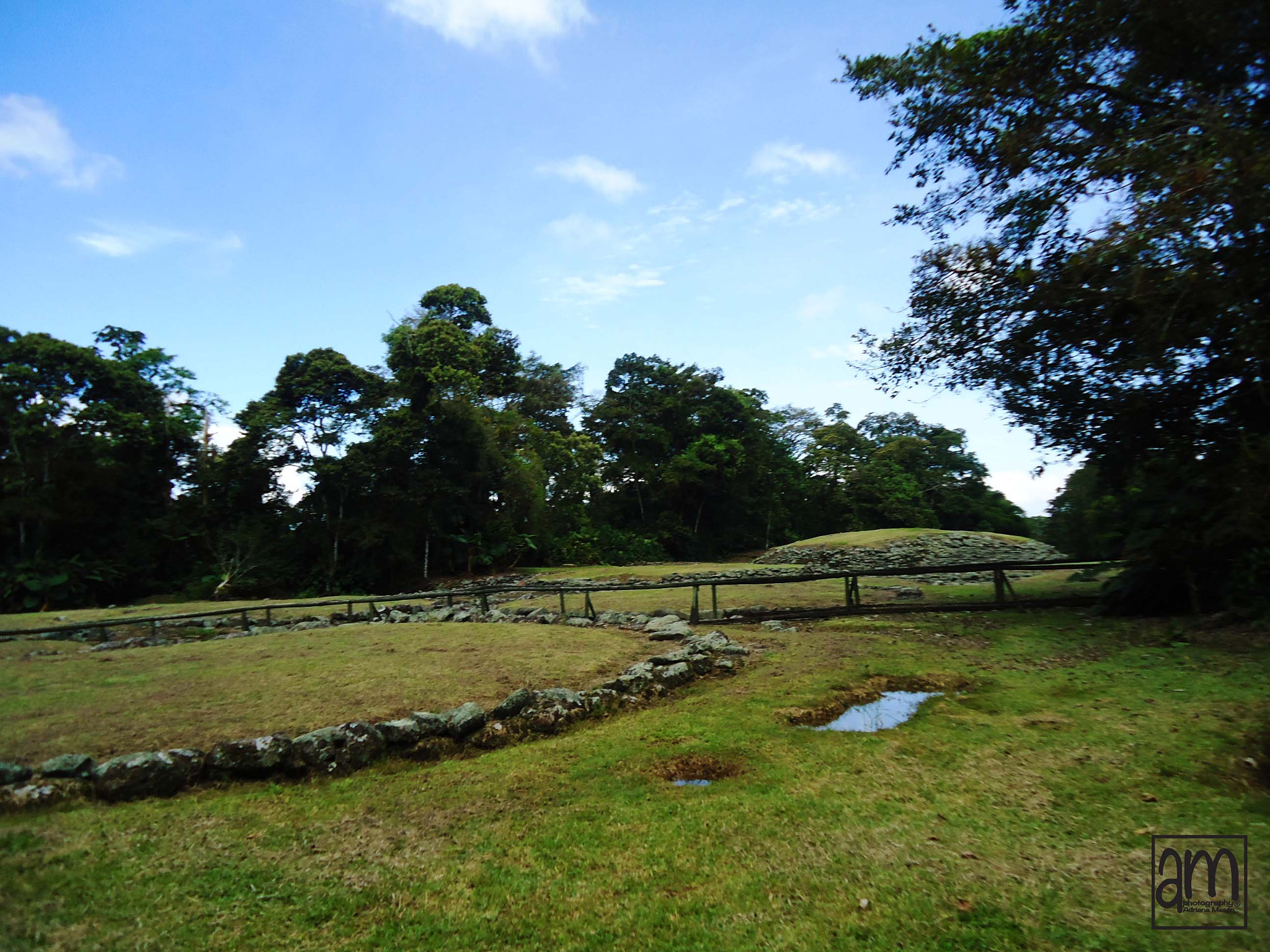Sony Cyber-shot DSC-W330 sample photo. Monumento nacional guayabo photography