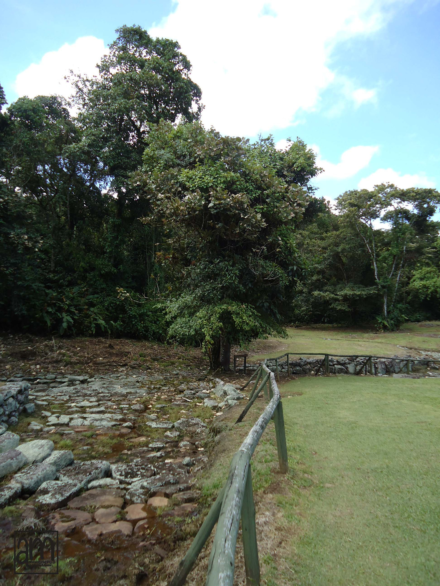 Sony Cyber-shot DSC-W330 sample photo. Monumento nacional guayabo photography