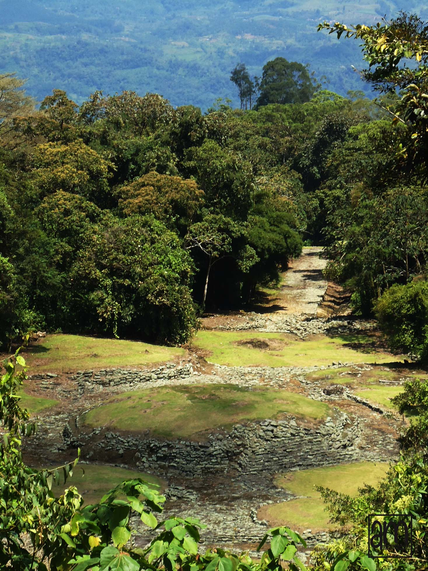 Sony Cyber-shot DSC-W330 sample photo. Monumento nacional guayabo photography