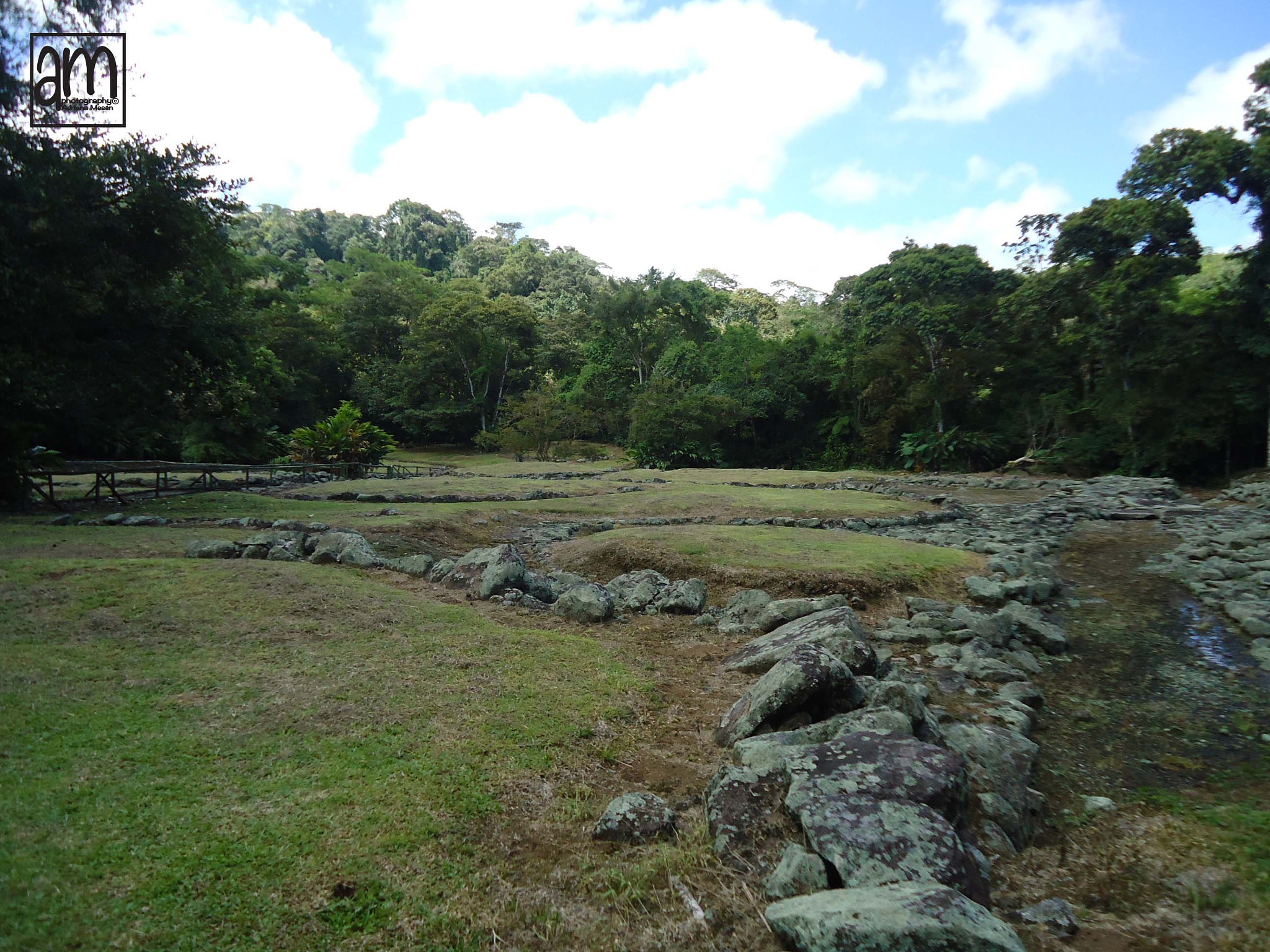 Sony Cyber-shot DSC-W330 sample photo. Monumento nacional guayabo photography