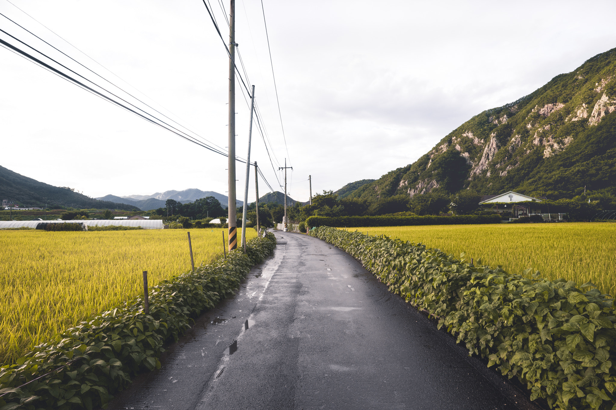 Sony a7 + ZEISS Batis 18mm F2.8 sample photo. Geumsan countryside photography