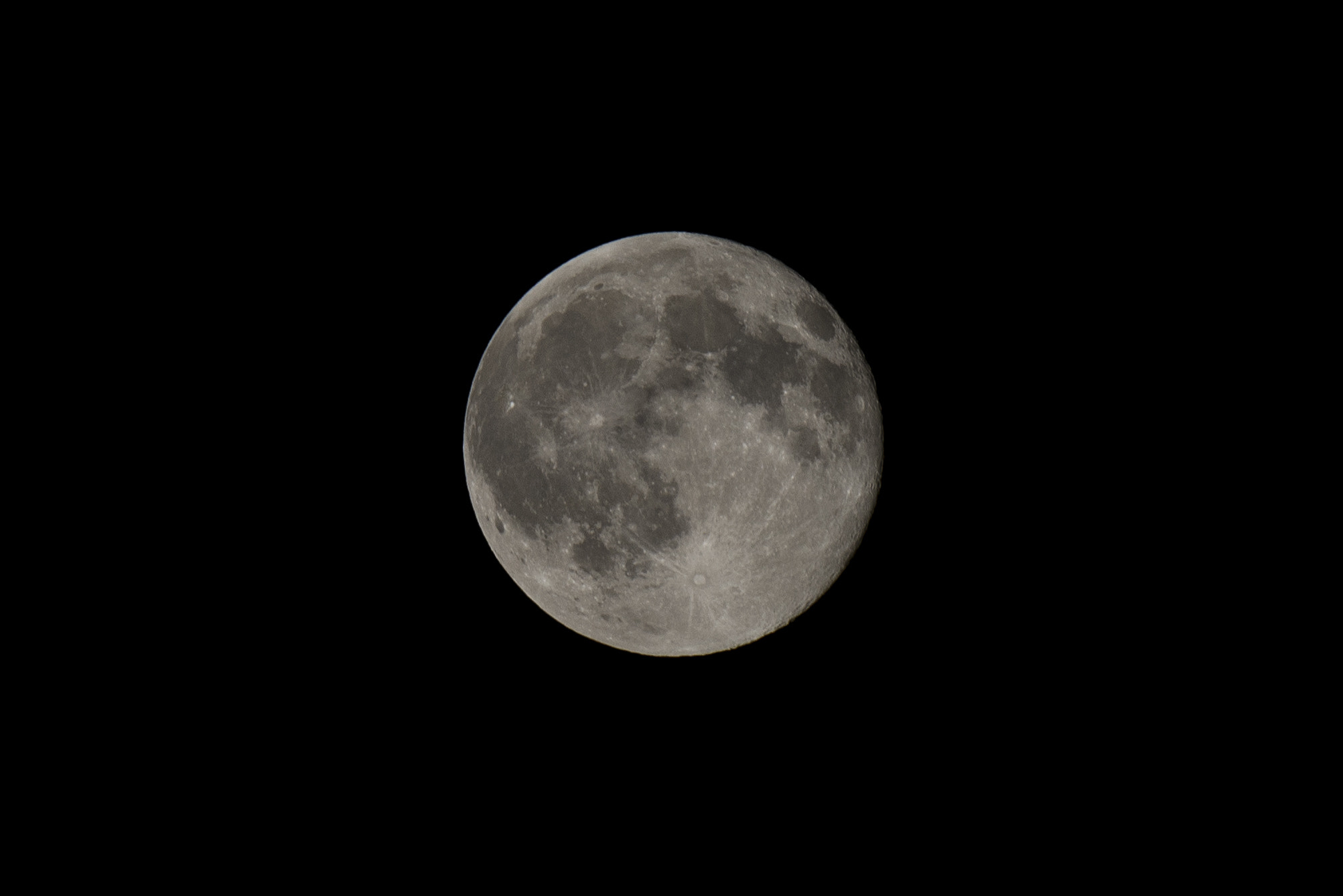 Nikon D600 sample photo. A blue moon photography