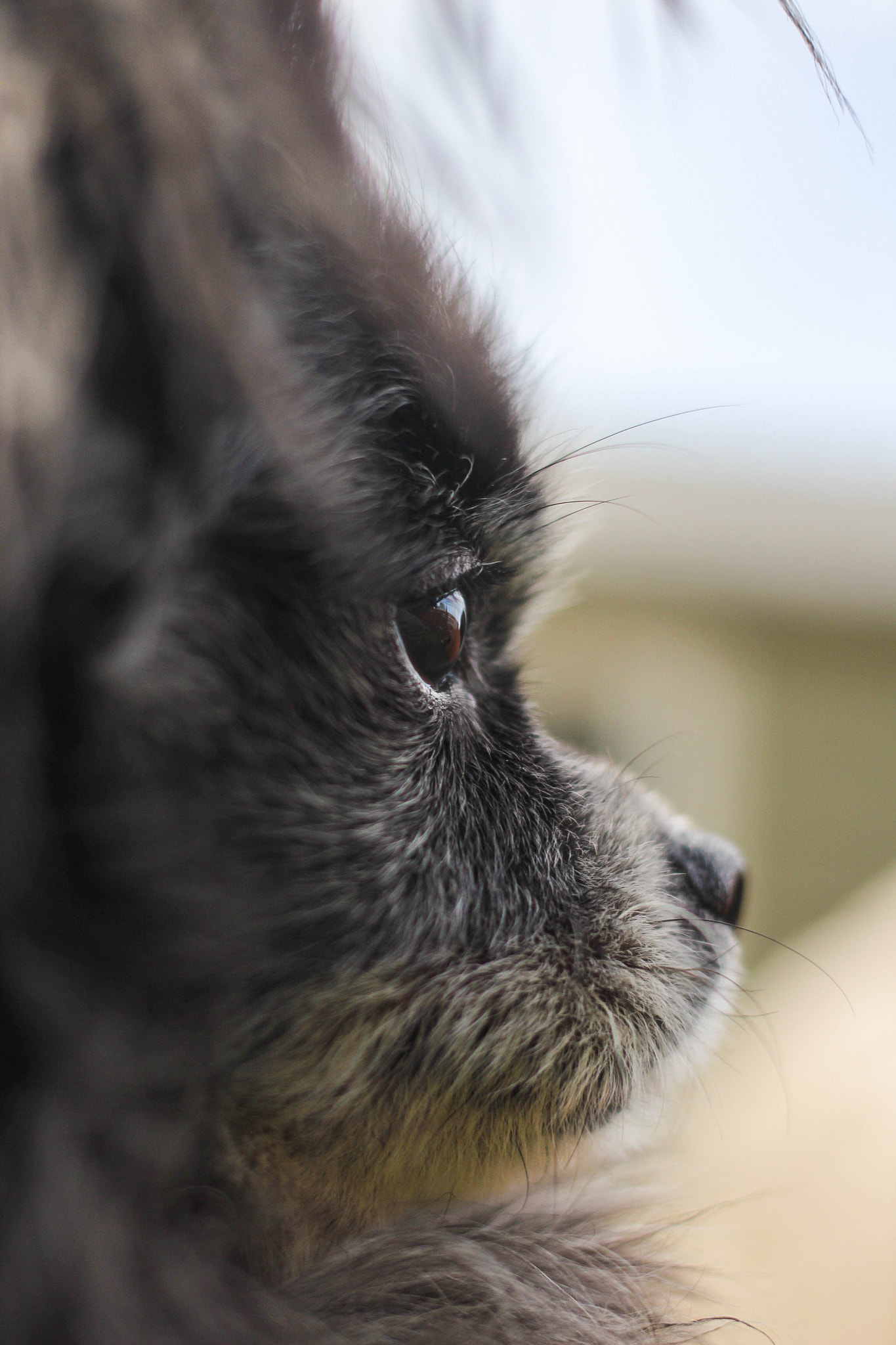 Canon EF 40mm F2.8 STM sample photo. Xauh (of ) photography