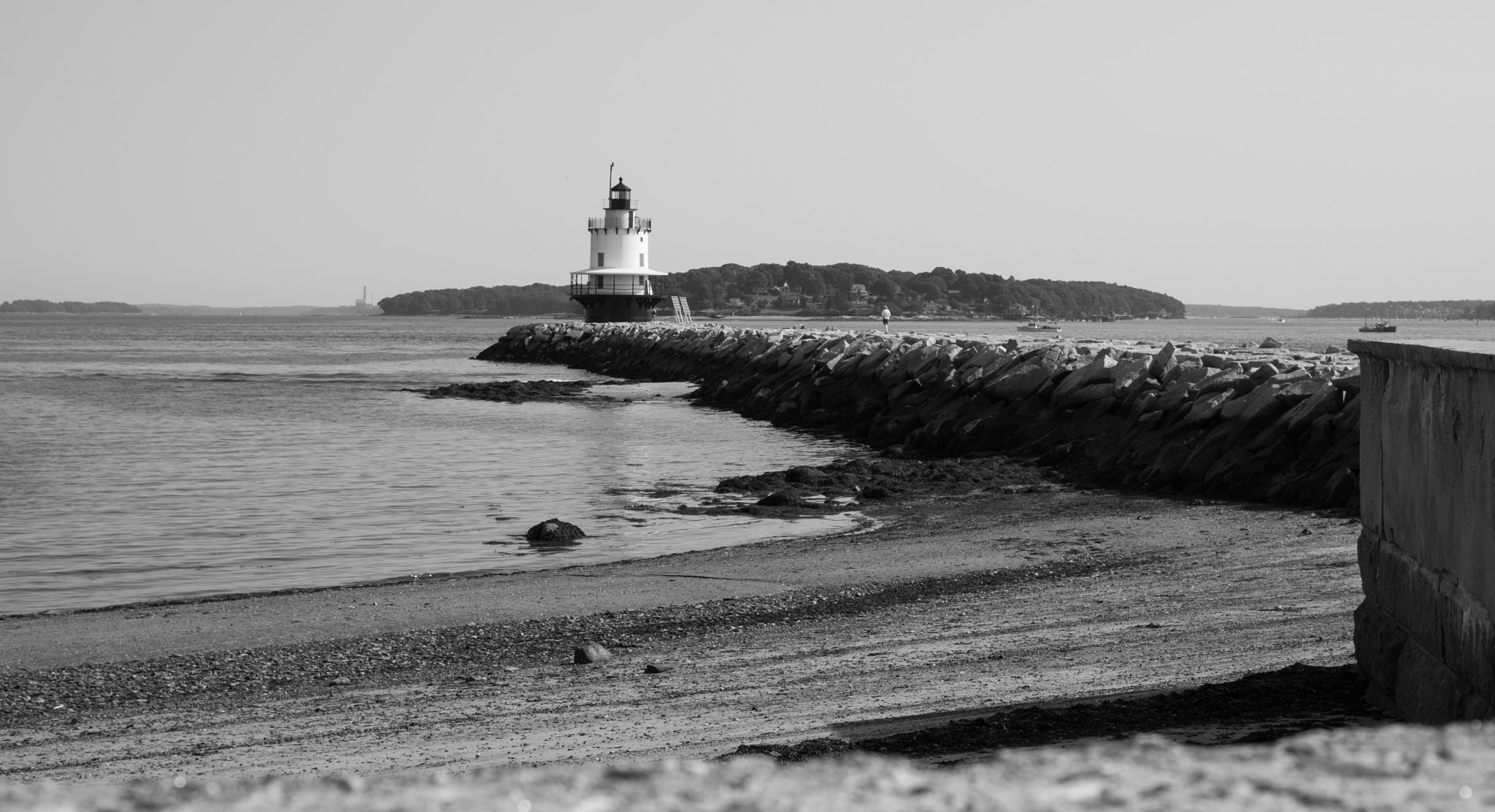 Pentax K-3 II sample photo. Bug light photography