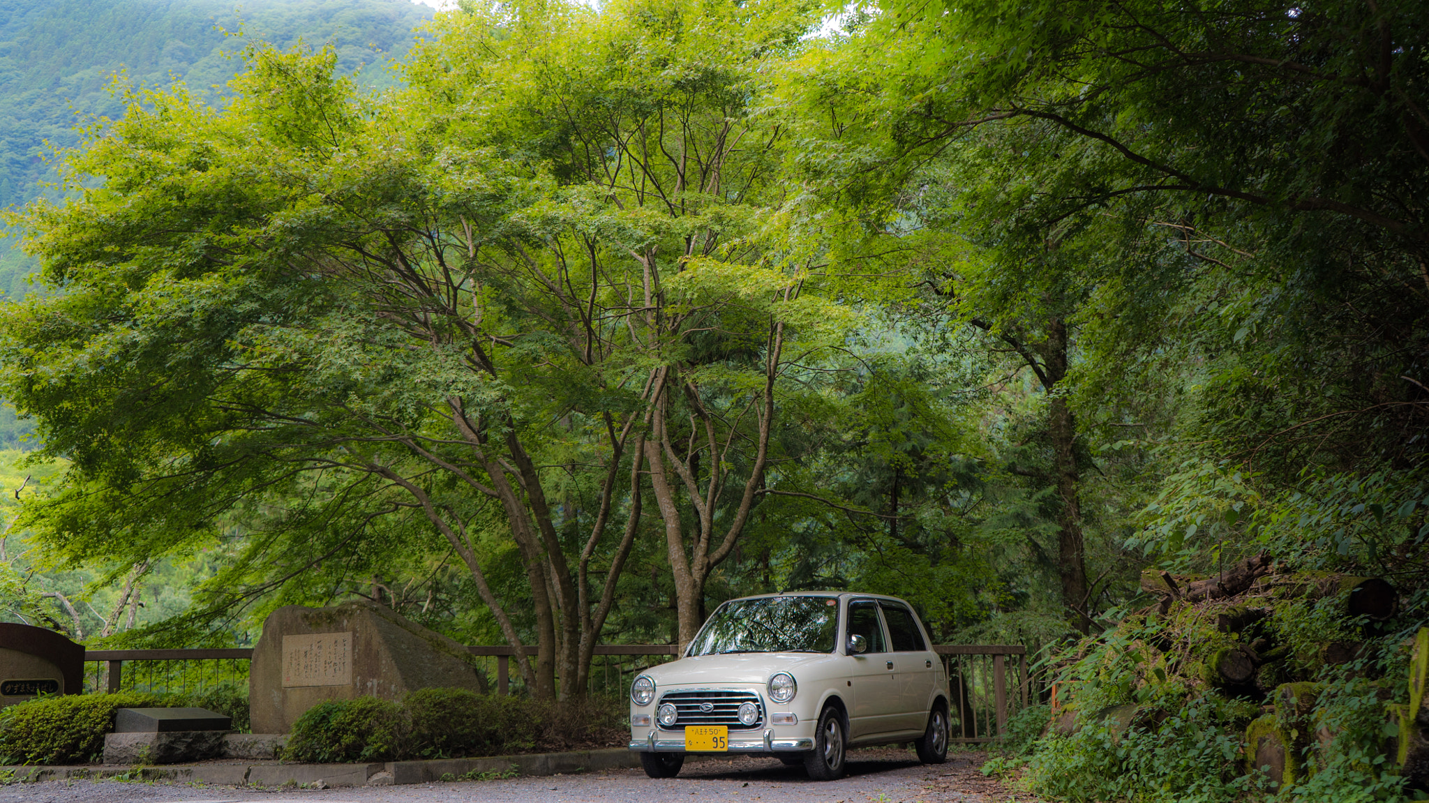 Sony a7S sample photo. The car in the woods photography