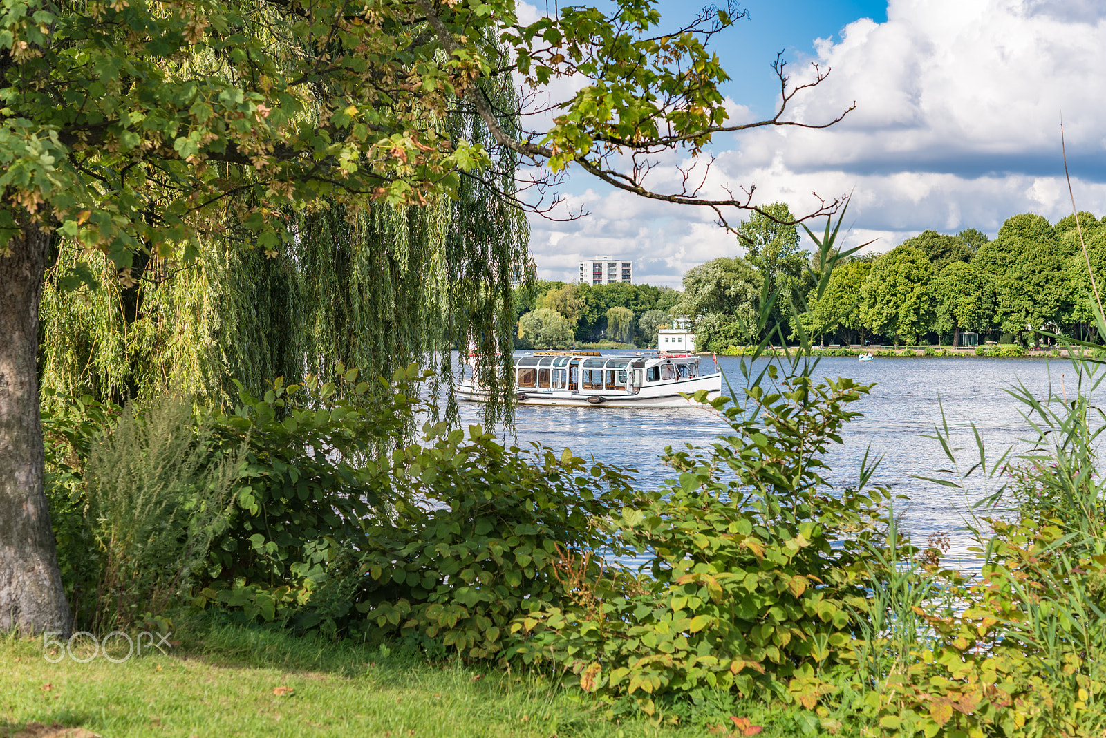Nikon D610 + Nikon AF-S Micro-Nikkor 60mm F2.8G ED sample photo. Alster lake in hamburg germany on a summer day photography