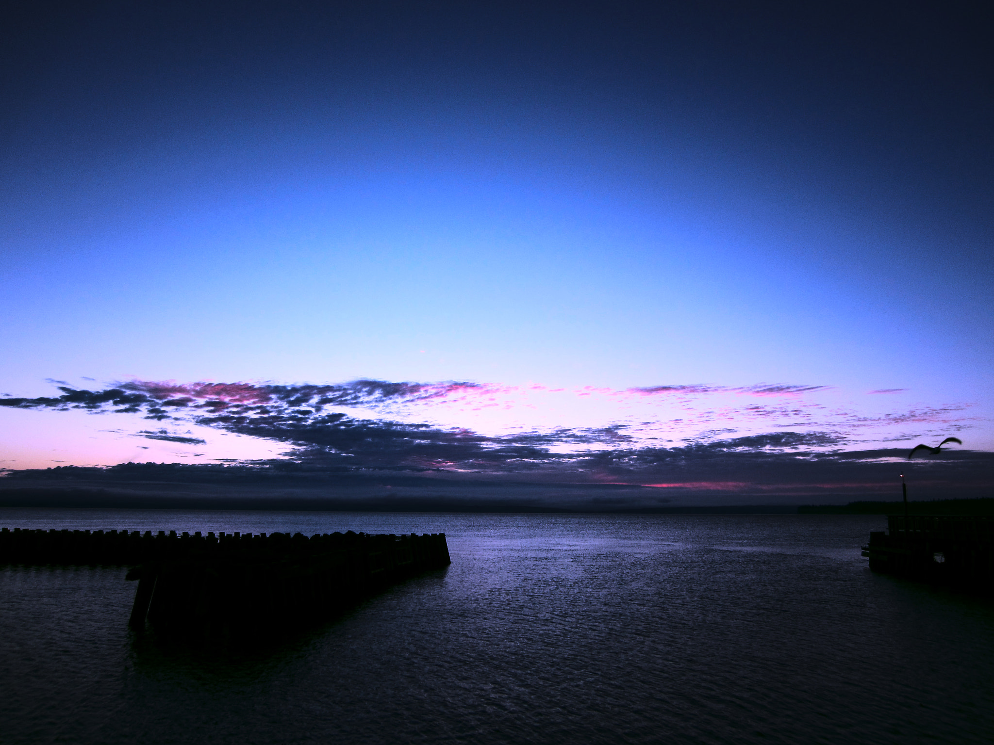 Canon PowerShot ELPH 300 HS (IXUS 220 HS / IXY 410F) sample photo. Salish sunrise photography