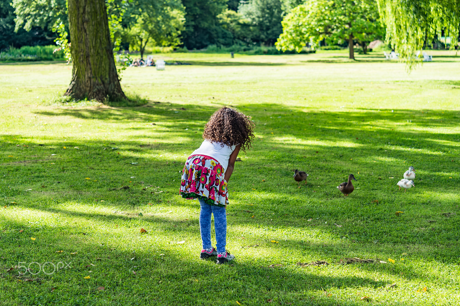 Nikon D610 + Nikon AF-S Micro-Nikkor 60mm F2.8G ED sample photo. Adorable girl talking to ducks on a green meadow  photography
