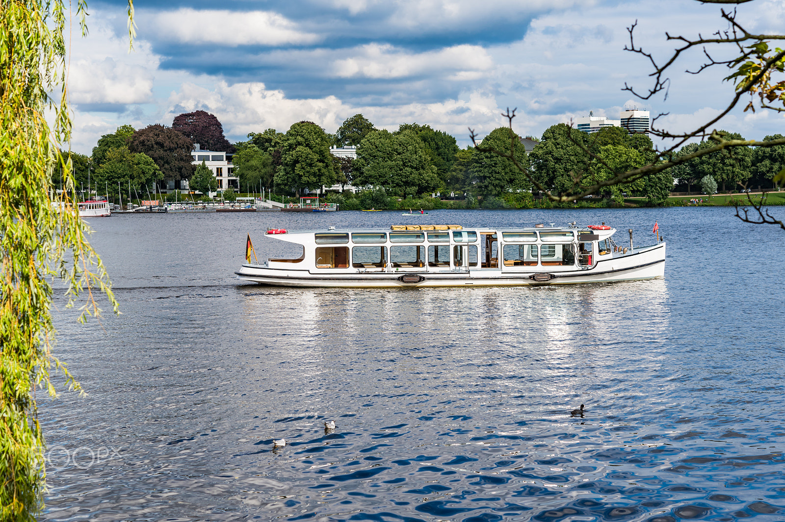 Nikon AF-S Micro-Nikkor 60mm F2.8G ED sample photo. Alster lake in hamburg germany on a summer day photography