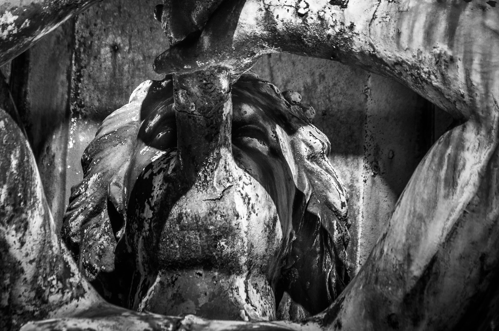 Nikon D5000 sample photo. Petrified photography