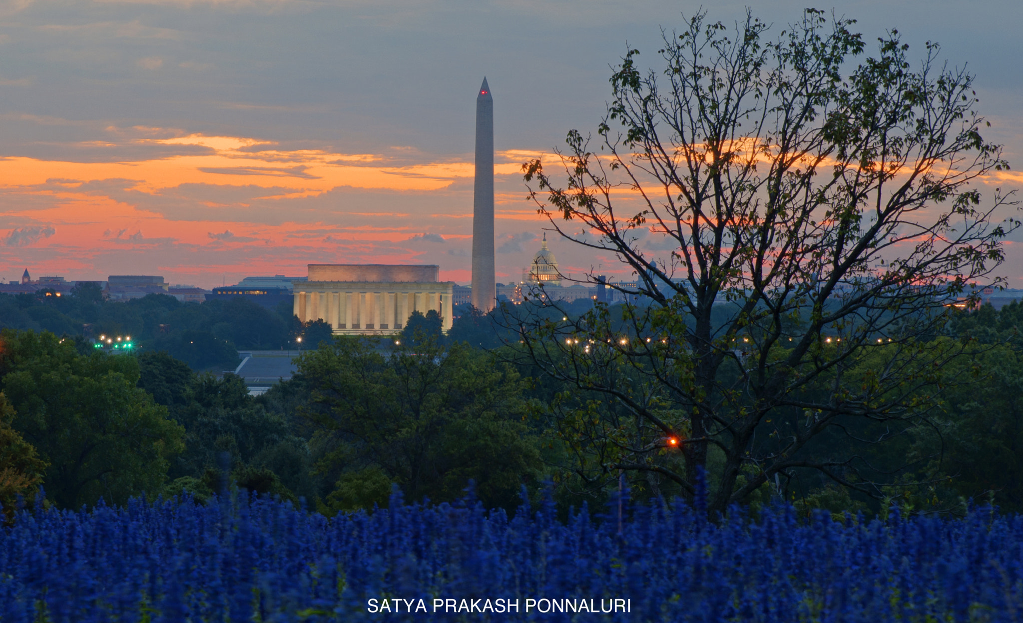 Tamron SP 24-70mm F2.8 Di VC USD sample photo. Washington dc at dawn photography