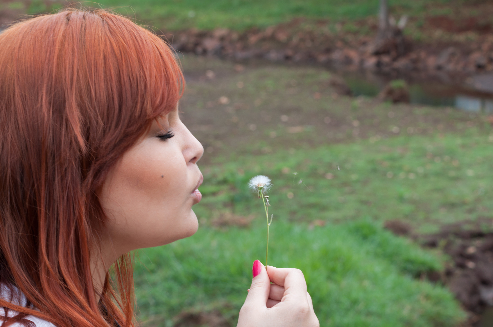 Nikon D90 + AF Zoom-Nikkor 70-210mm f/4 sample photo. The girl and the dandelion photography