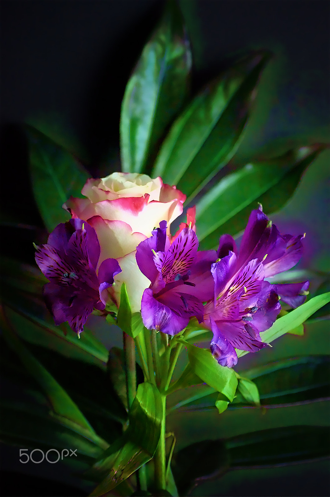55.0-200.0mm f/4.0-f/5.6 sample photo. Once again too photography
