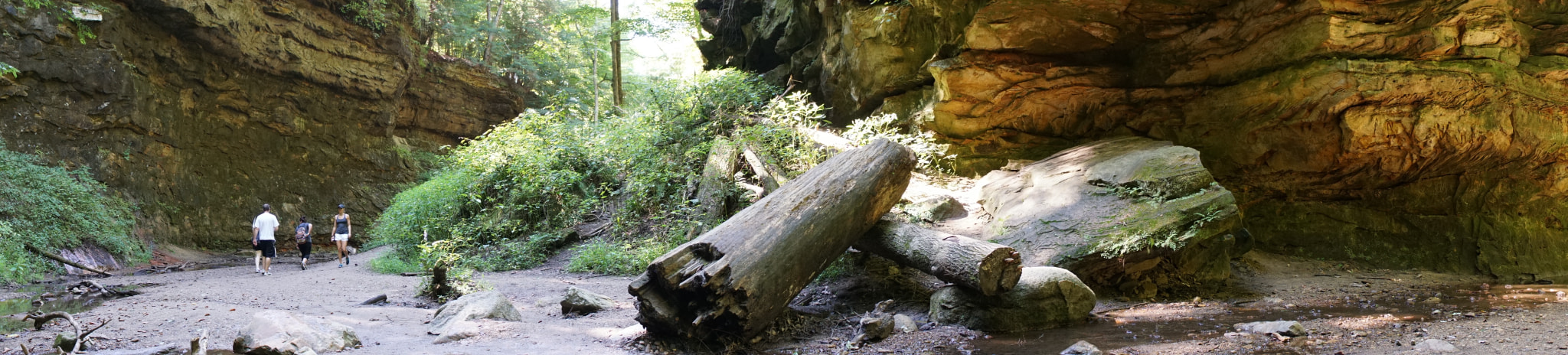 Tamron 18-200mm F3.5-6.3 Di III VC sample photo. Turkeyrun.jpg photography
