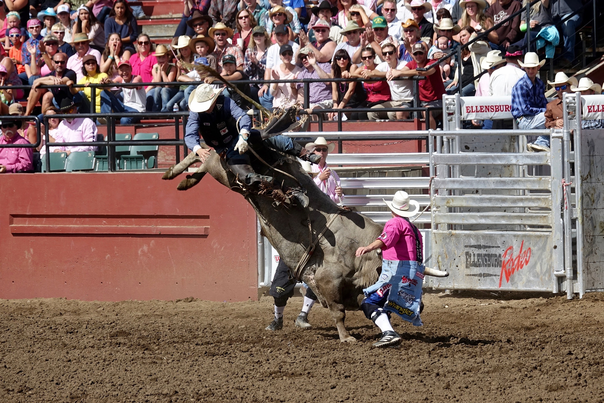 Sony 24-600mm F2.4-4.0 sample photo. Ejected photography