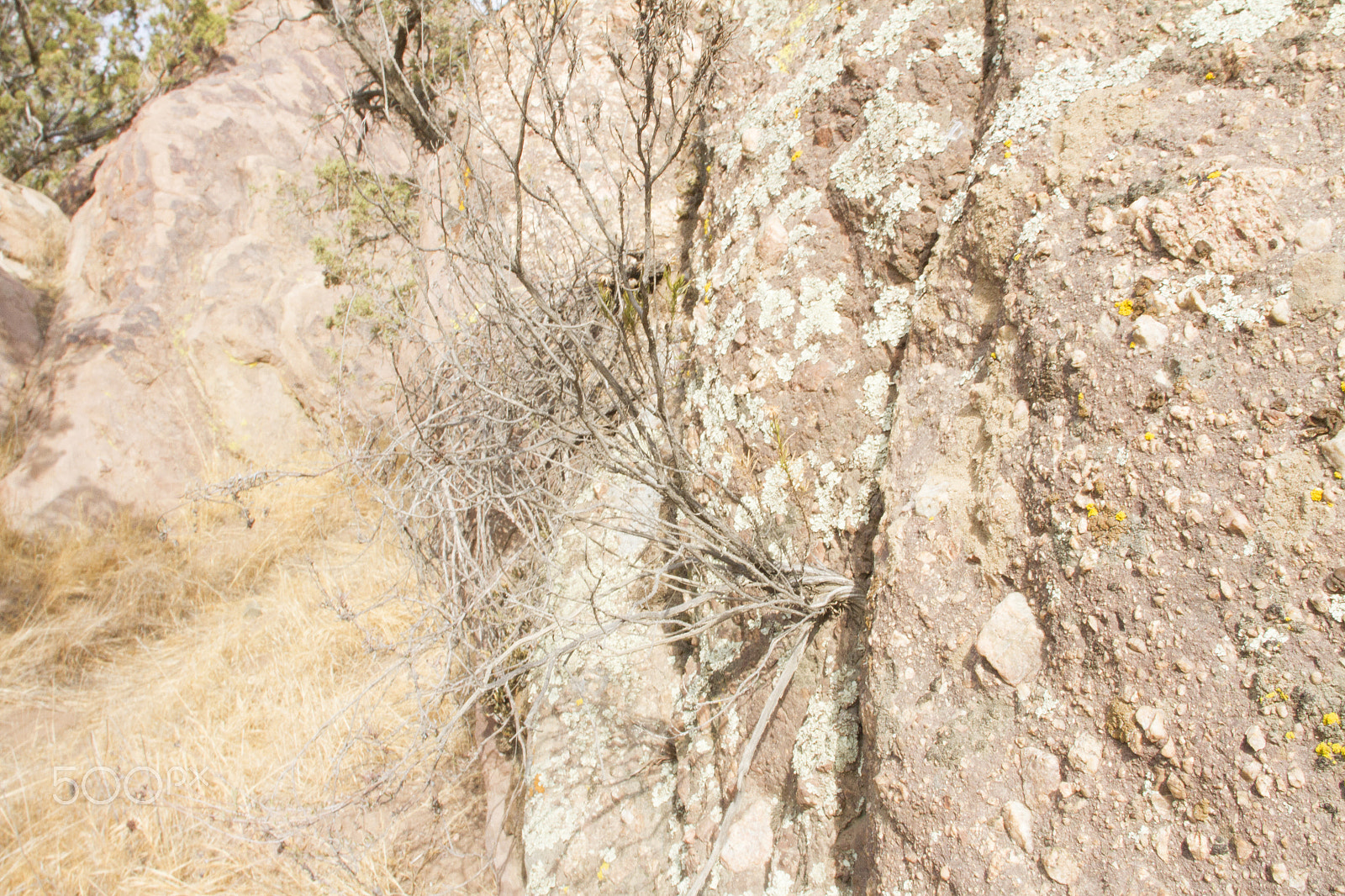 Canon EOS 7D + Canon EF 20mm F2.8 USM sample photo. Moss photography