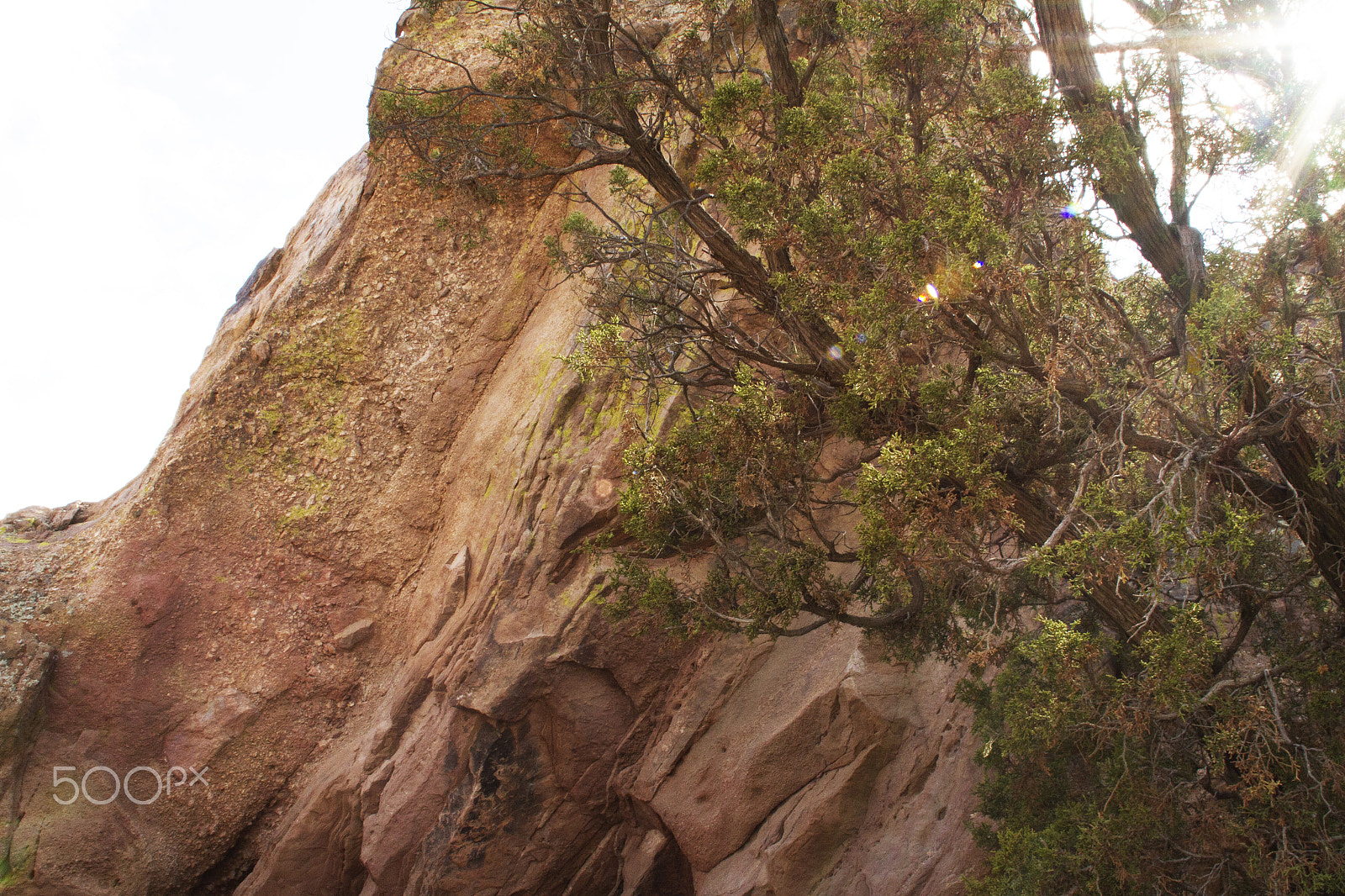 Canon EOS 7D + Canon EF 20mm F2.8 USM sample photo. Treerocksky photography