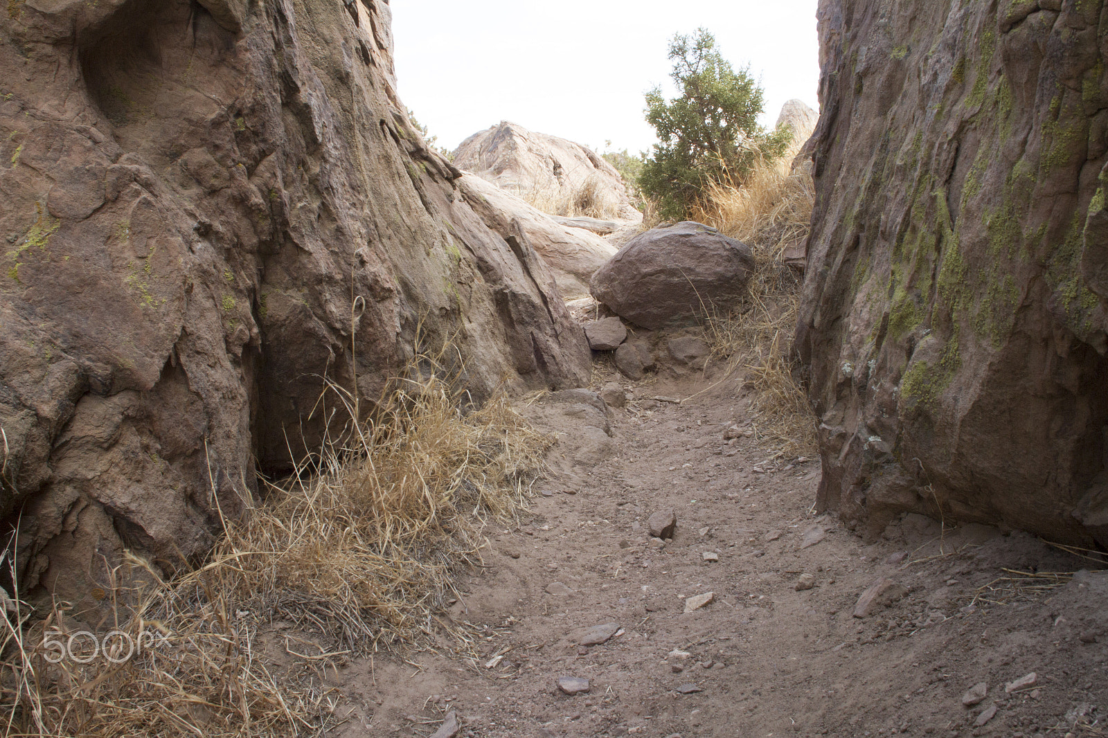 Canon EOS 7D + Canon EF 20mm F2.8 USM sample photo. Weevalley photography