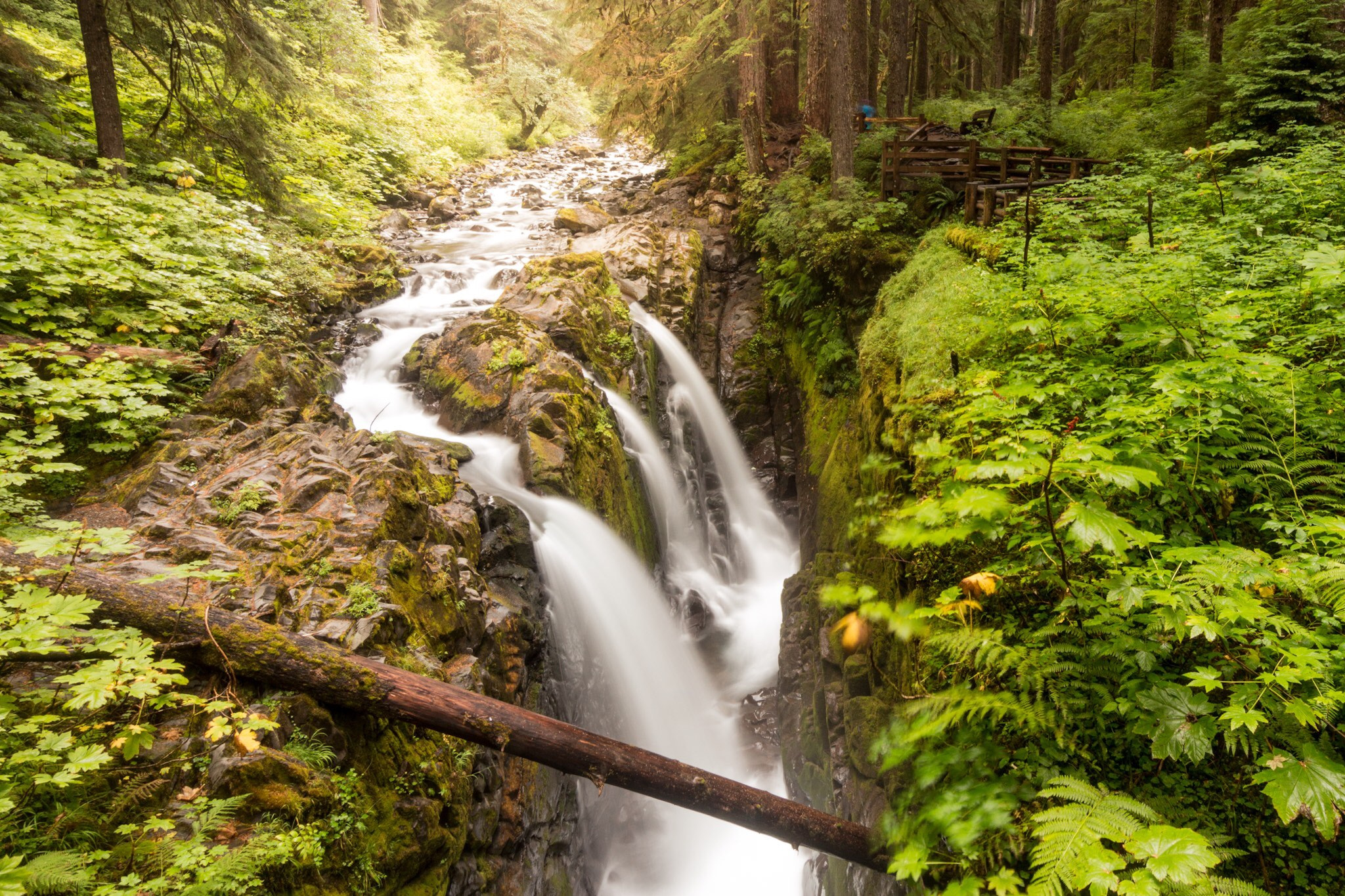 Tokina AT-X 11-20mm F2.8 PRO DX sample photo. Sol duc falls photography