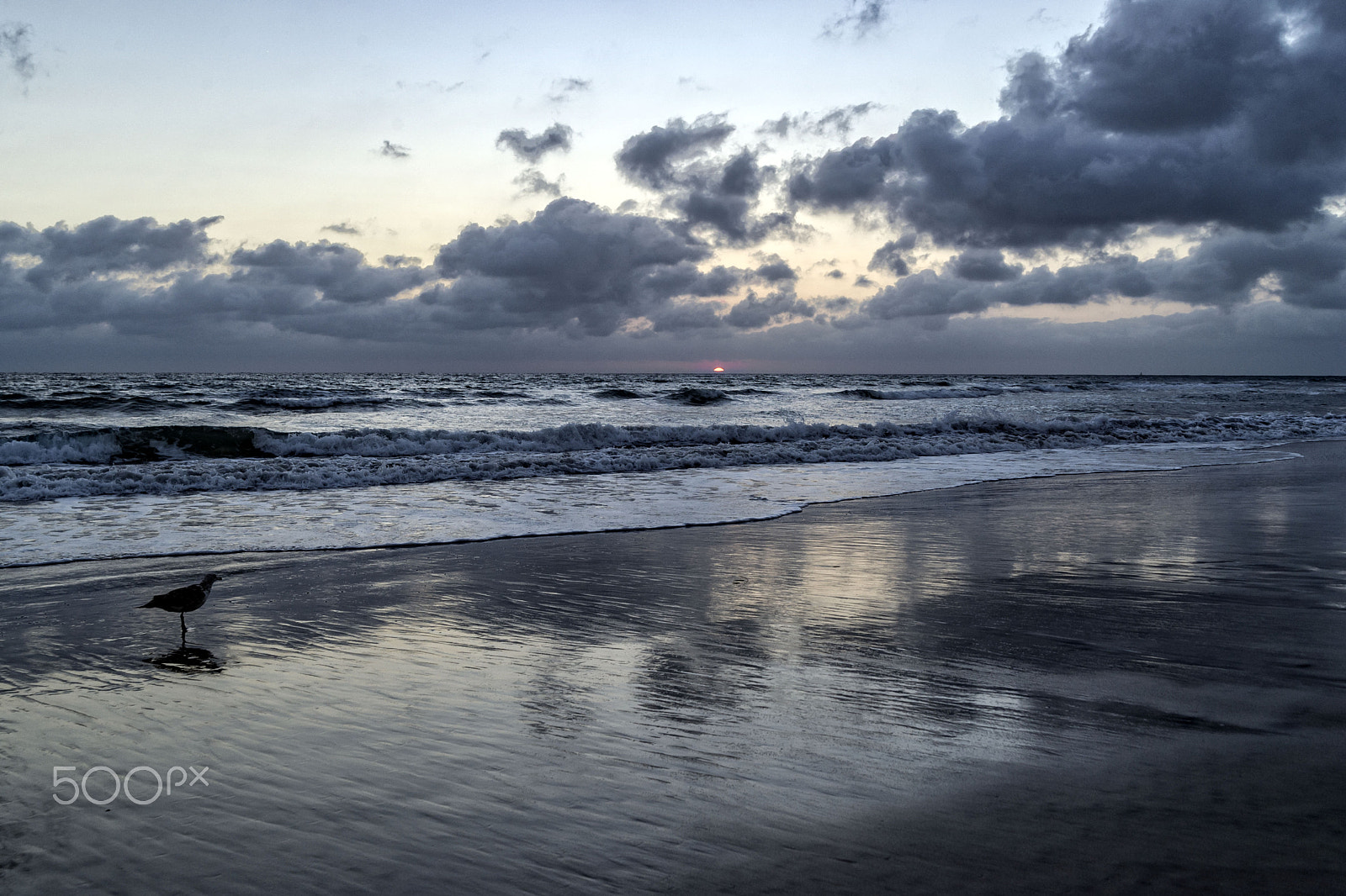 Nikon D3S sample photo. Evening in oceanside at sunset - september 4, 2016 photography