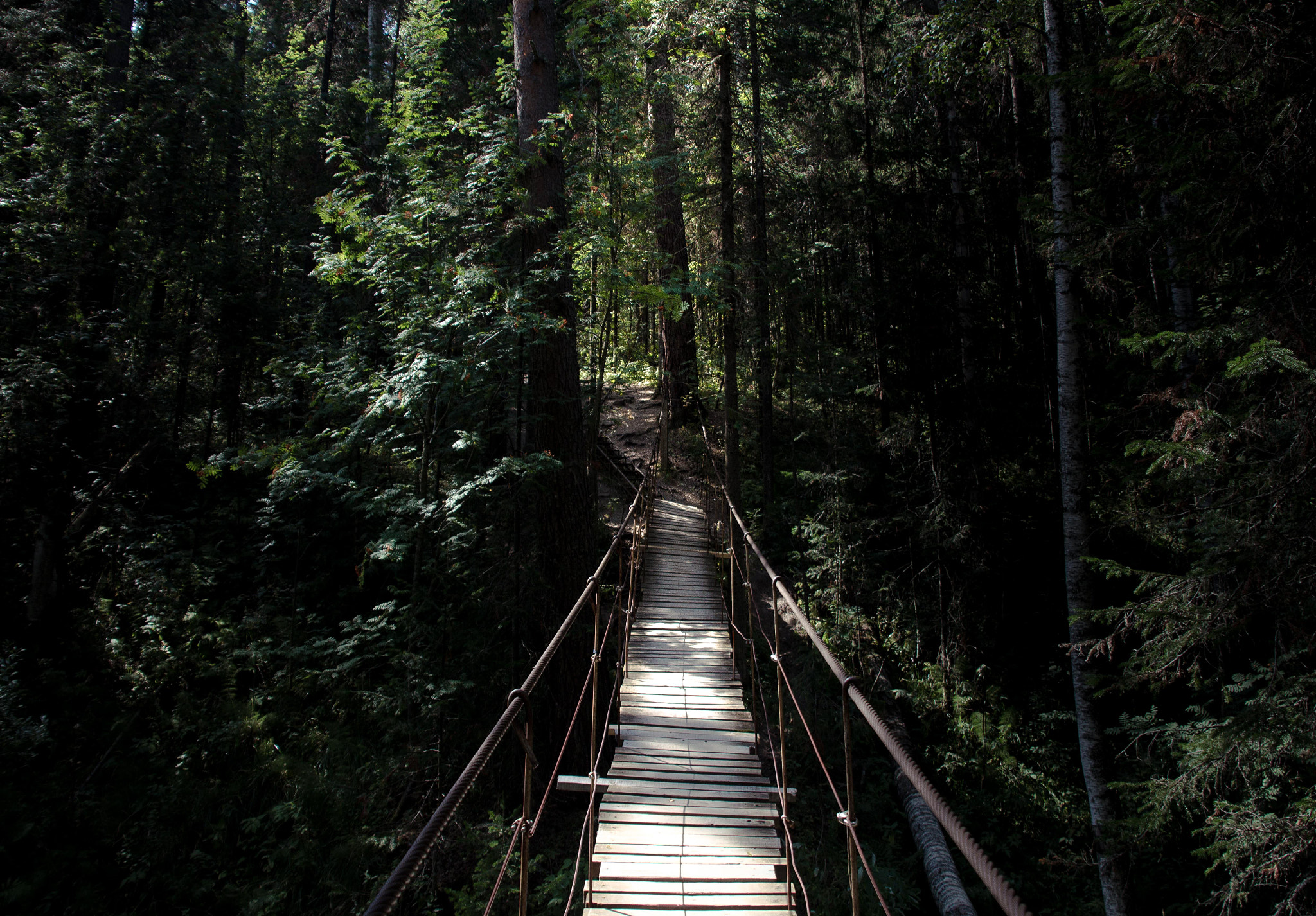 Sigma 18-200mm f/3.5-6.3 DC OS sample photo. Bridge  photography