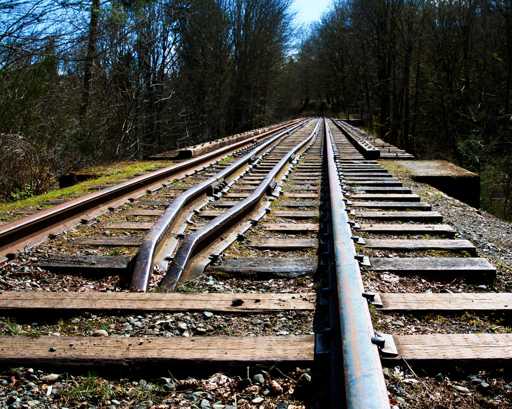 Canon EOS 450D (EOS Rebel XSi / EOS Kiss X2) sample photo. Tracks over trestle photography