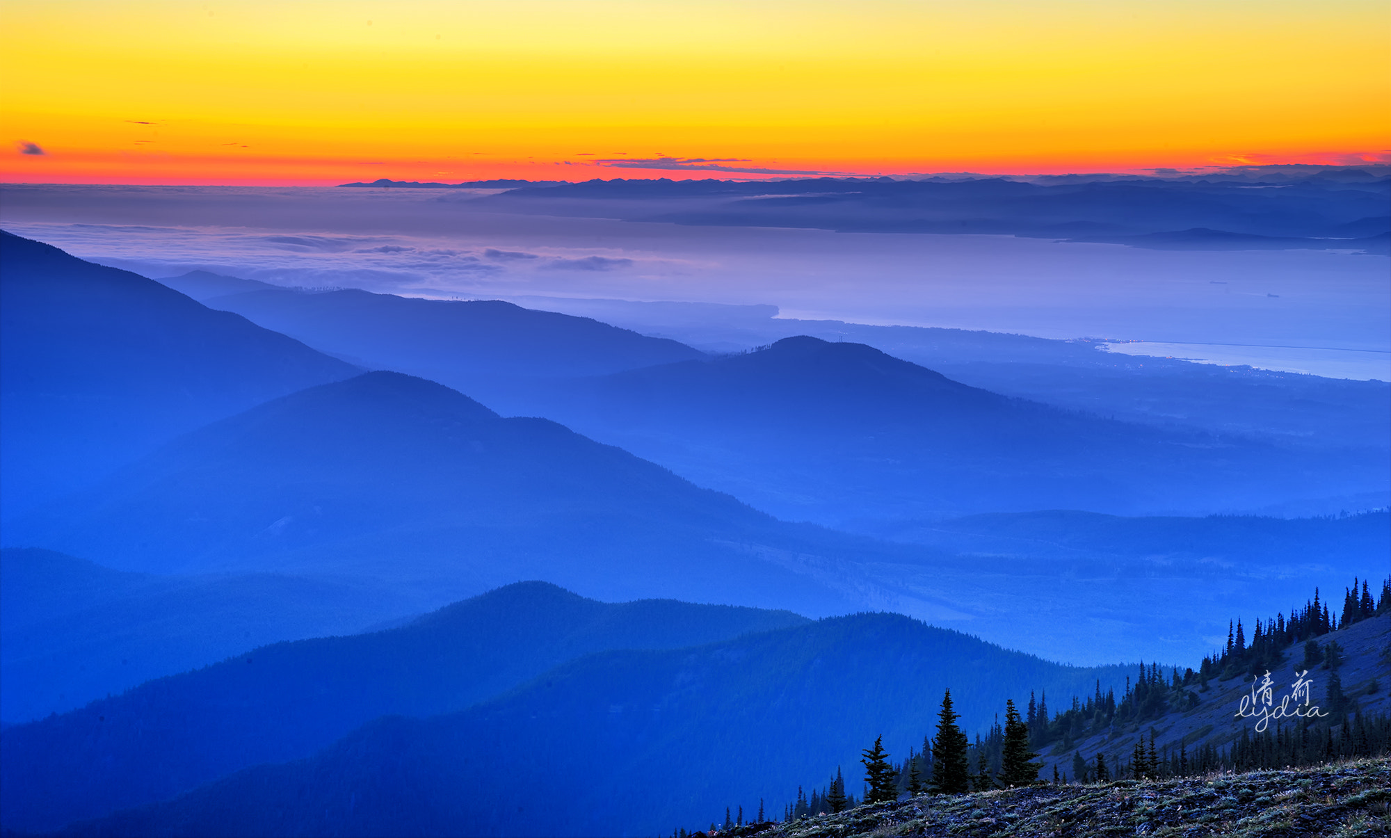 Sony a7 II + Sony FE 24-70mm F2.8 GM sample photo. Deer park mountain view, olympic national park photography