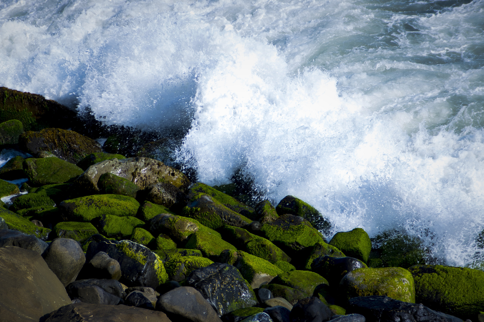 Tamron AF 28-200mm F3.8-5.6 XR Di Aspherical (IF) Macro sample photo. Day @ malibu california beaches photography