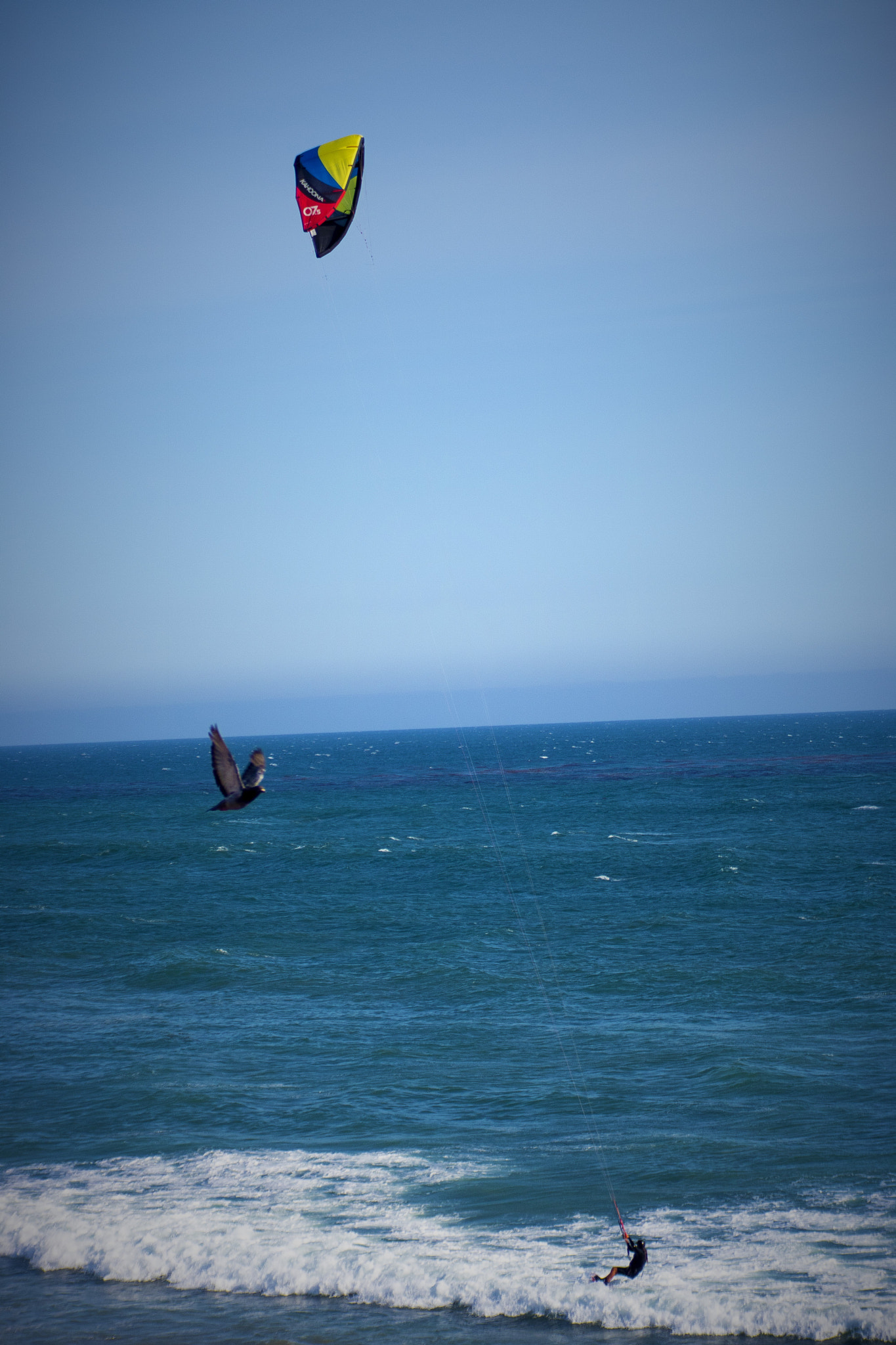 Tamron AF 28-200mm F3.8-5.6 XR Di Aspherical (IF) Macro sample photo. Day @ malibu california beaches photography