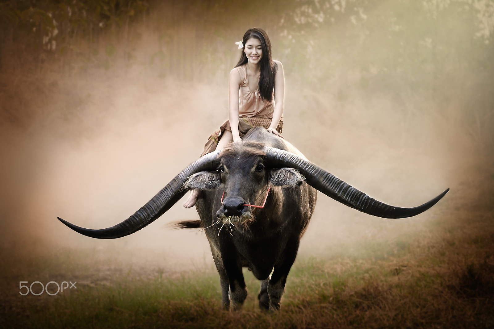 Fujifilm X-E2 + Fujifilm XC 50-230mm F4.5-6.7 OIS II sample photo. Thai lady farmer riding a buffalo in the field photography