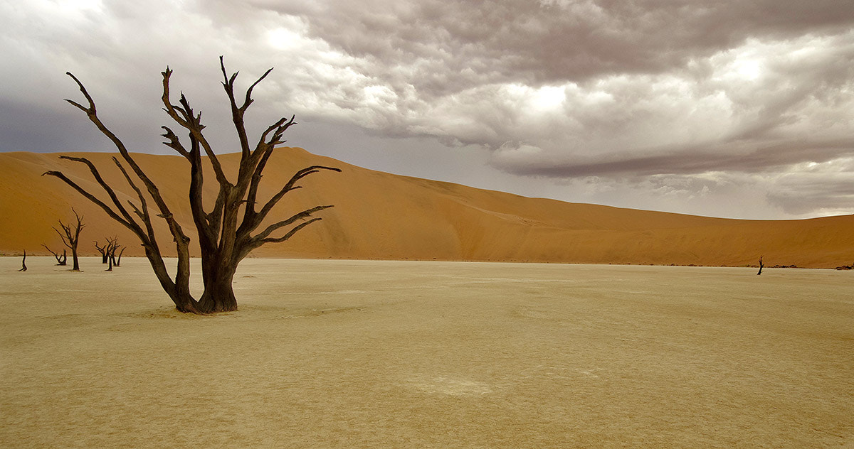 Pentax smc DA 16-45mm F4 ED AL sample photo. Dead valley namibia photography