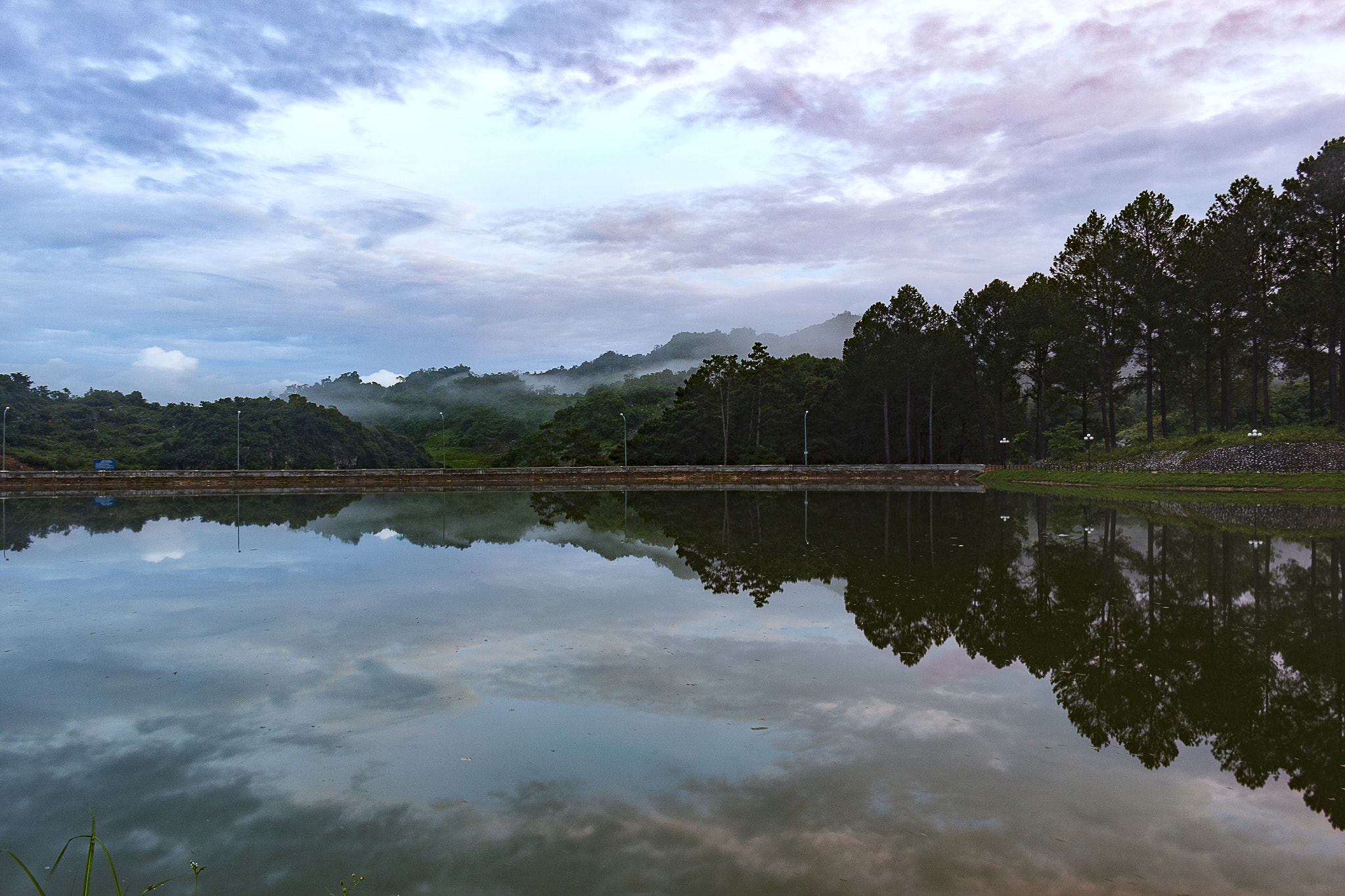 Canon EOS 50D sample photo. Mg photography