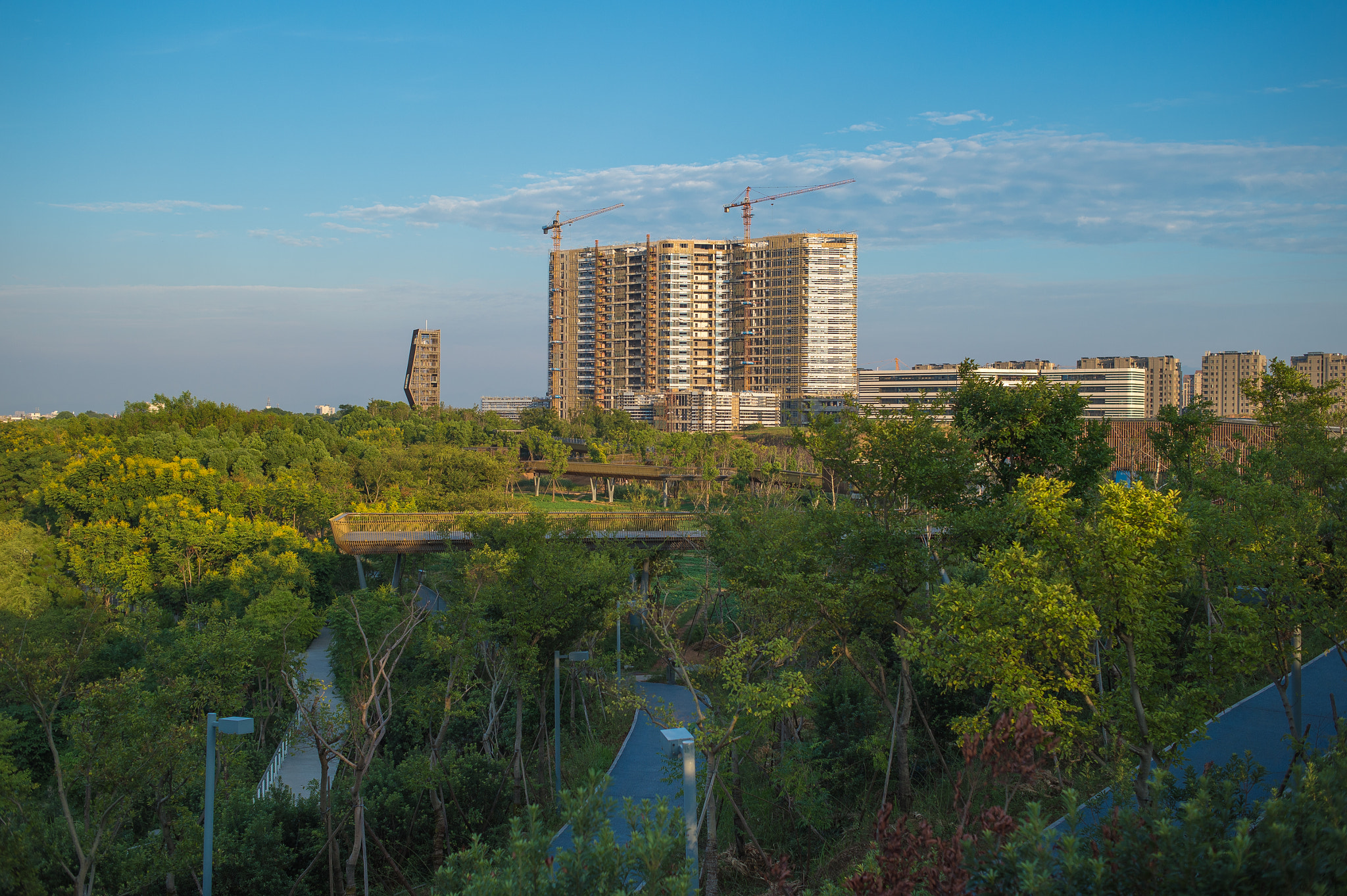 Nikon Df + Nikon AF Nikkor 35mm F2D sample photo. City and green space photography