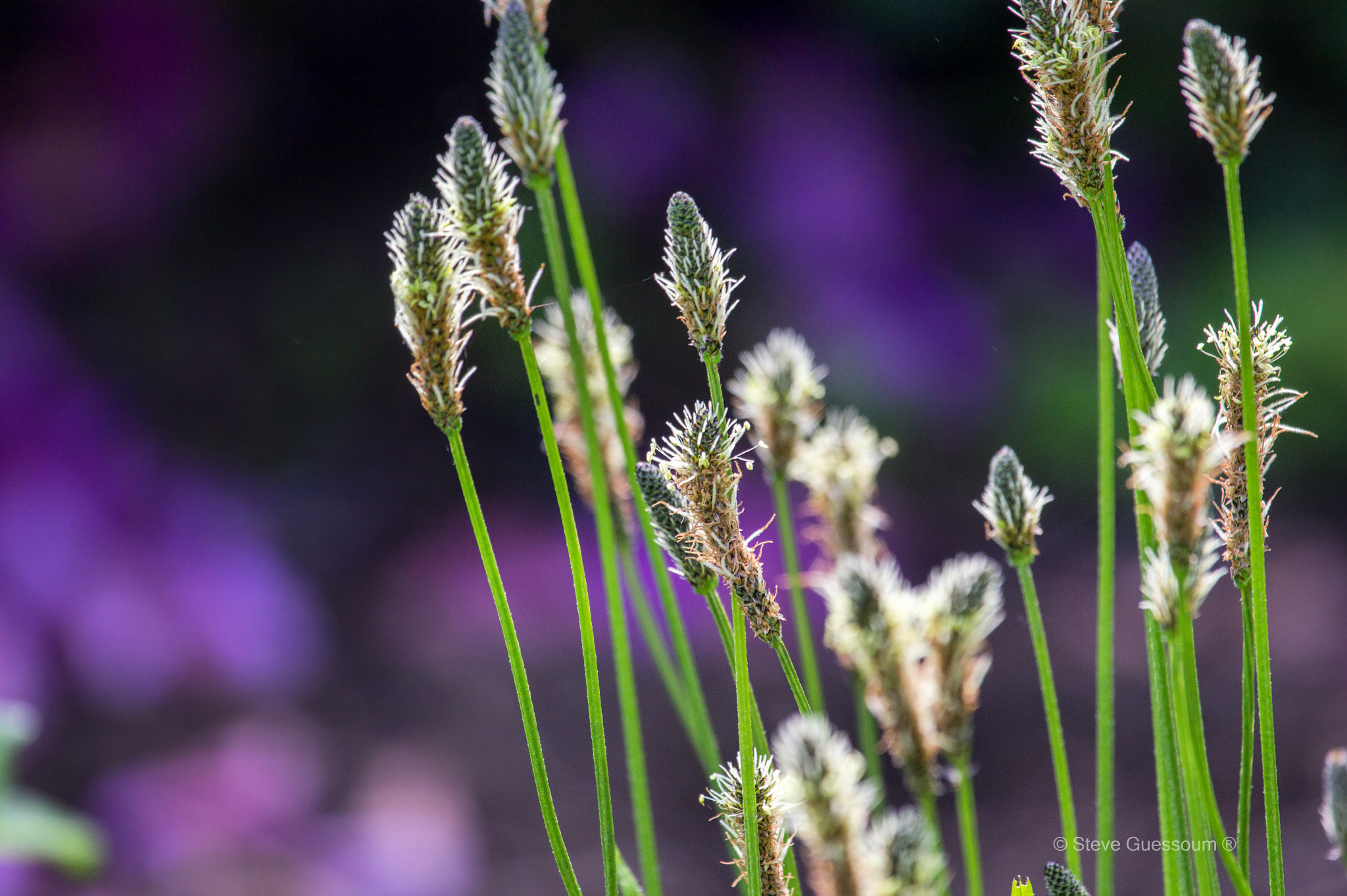 Canon EF 100-400mm F4.5-5.6L IS USM sample photo. Untitled photography