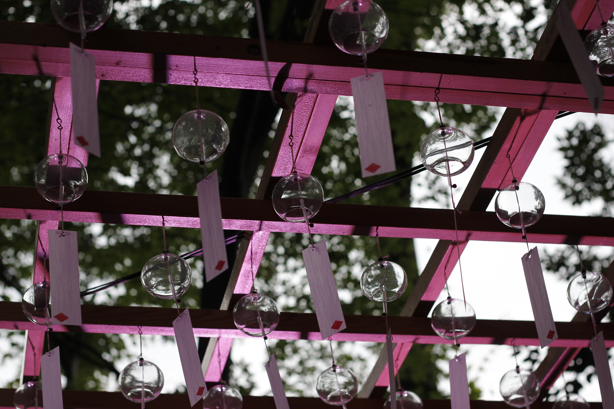 Canon EOS 550D (EOS Rebel T2i / EOS Kiss X4) sample photo. Near dark photography