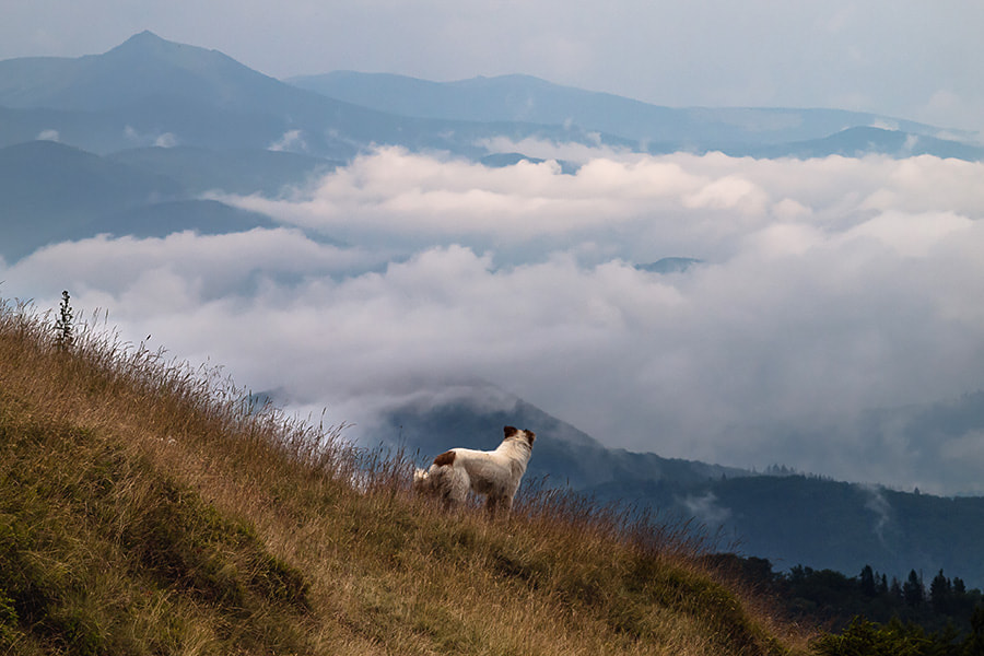 Olympus E-30 sample photo. ... photography