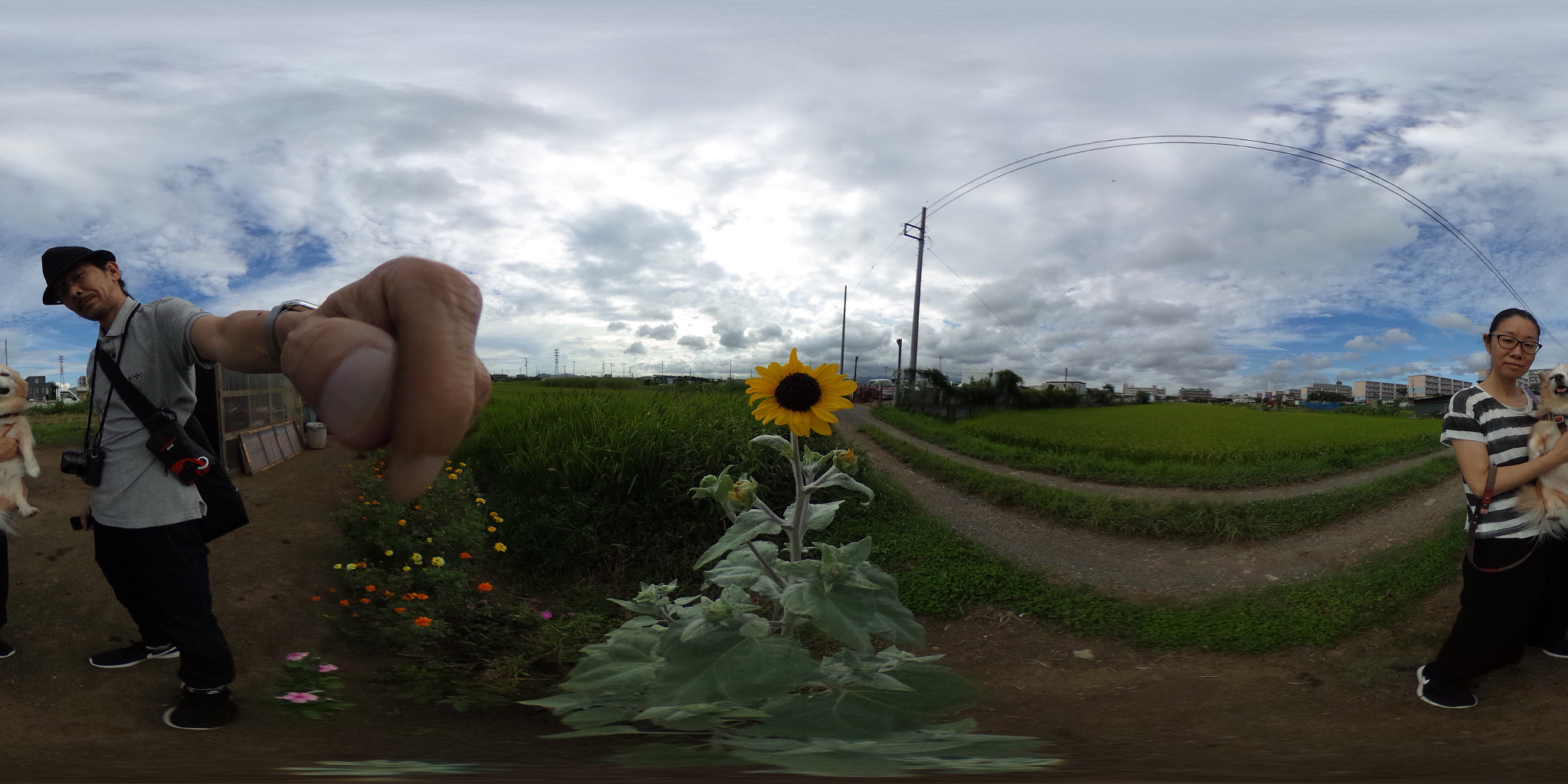 Ricoh Theta S sample photo. Ricoh theta s : september 5 2016 photography