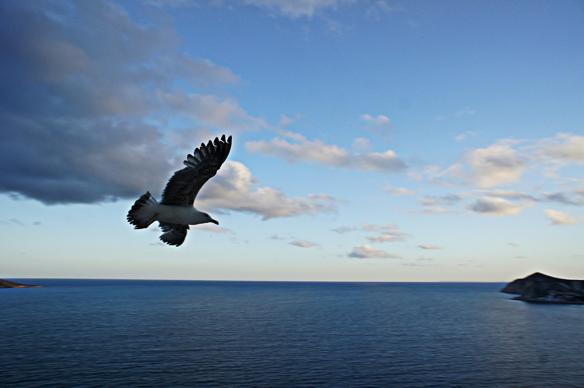 Sony Alpha NEX-5 + Sony E 16mm F2.8 sample photo. Returning home photography
