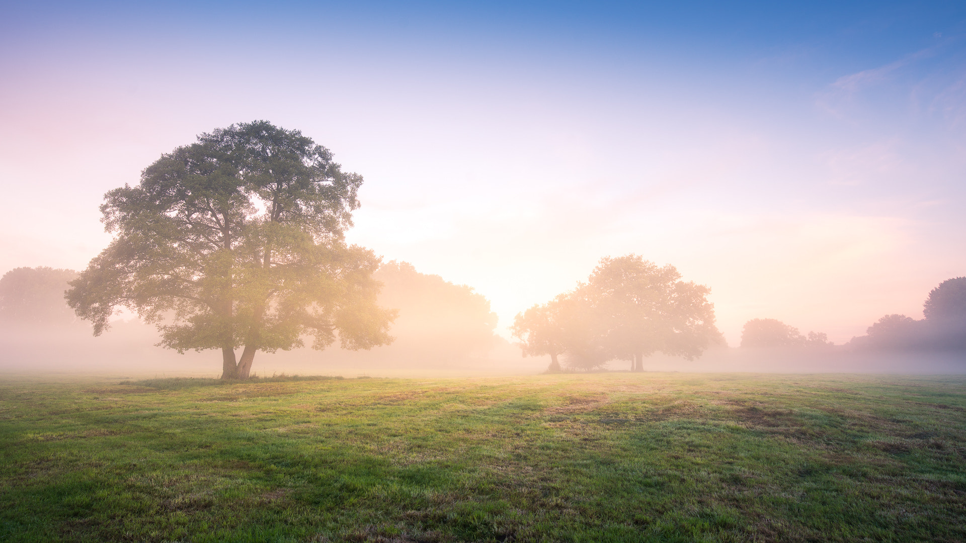 Sony a7R II + Canon EF 16-35mm F4L IS USM sample photo. Misty morning photography