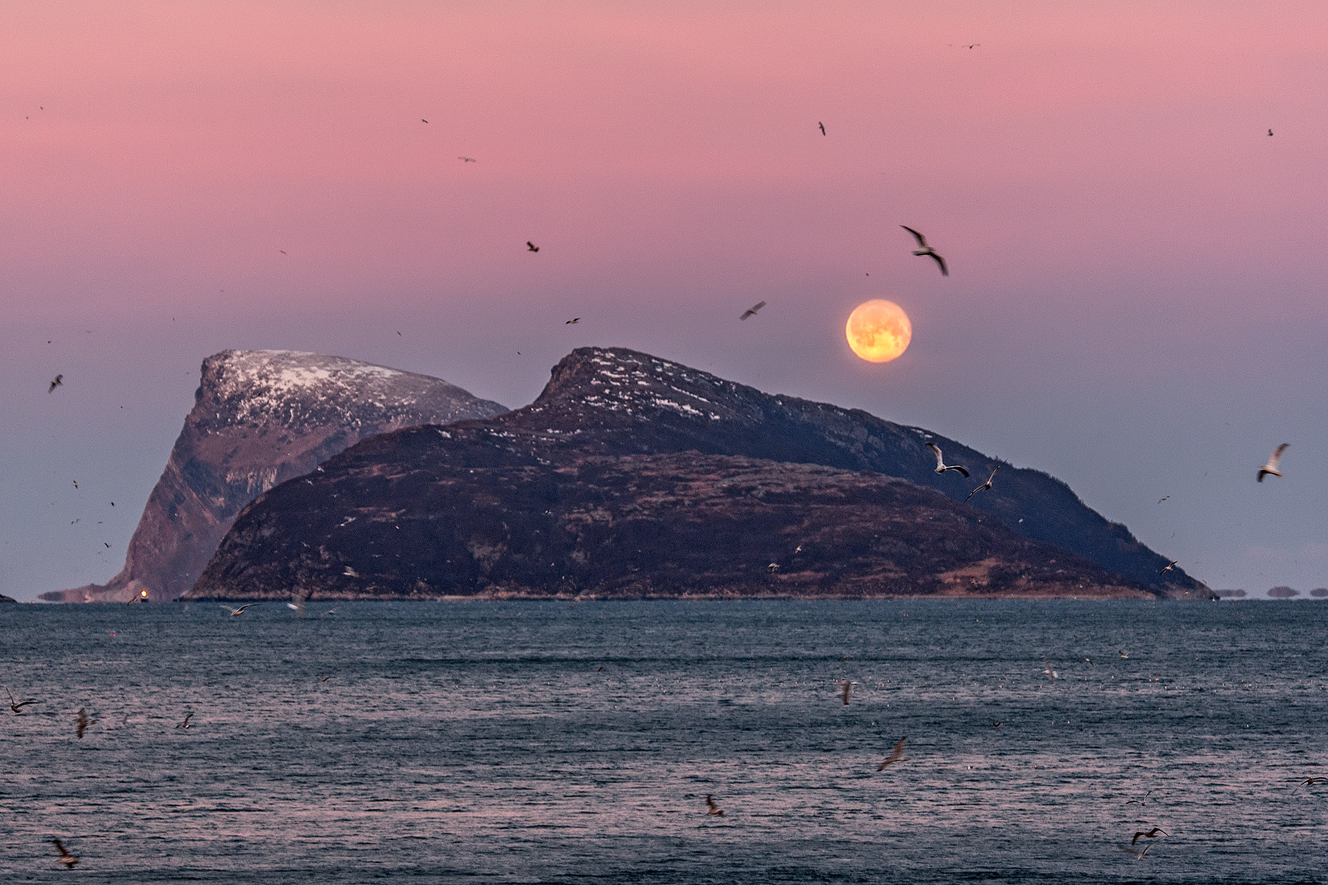 Canon EOS-1D Mark III sample photo. Nordland photography