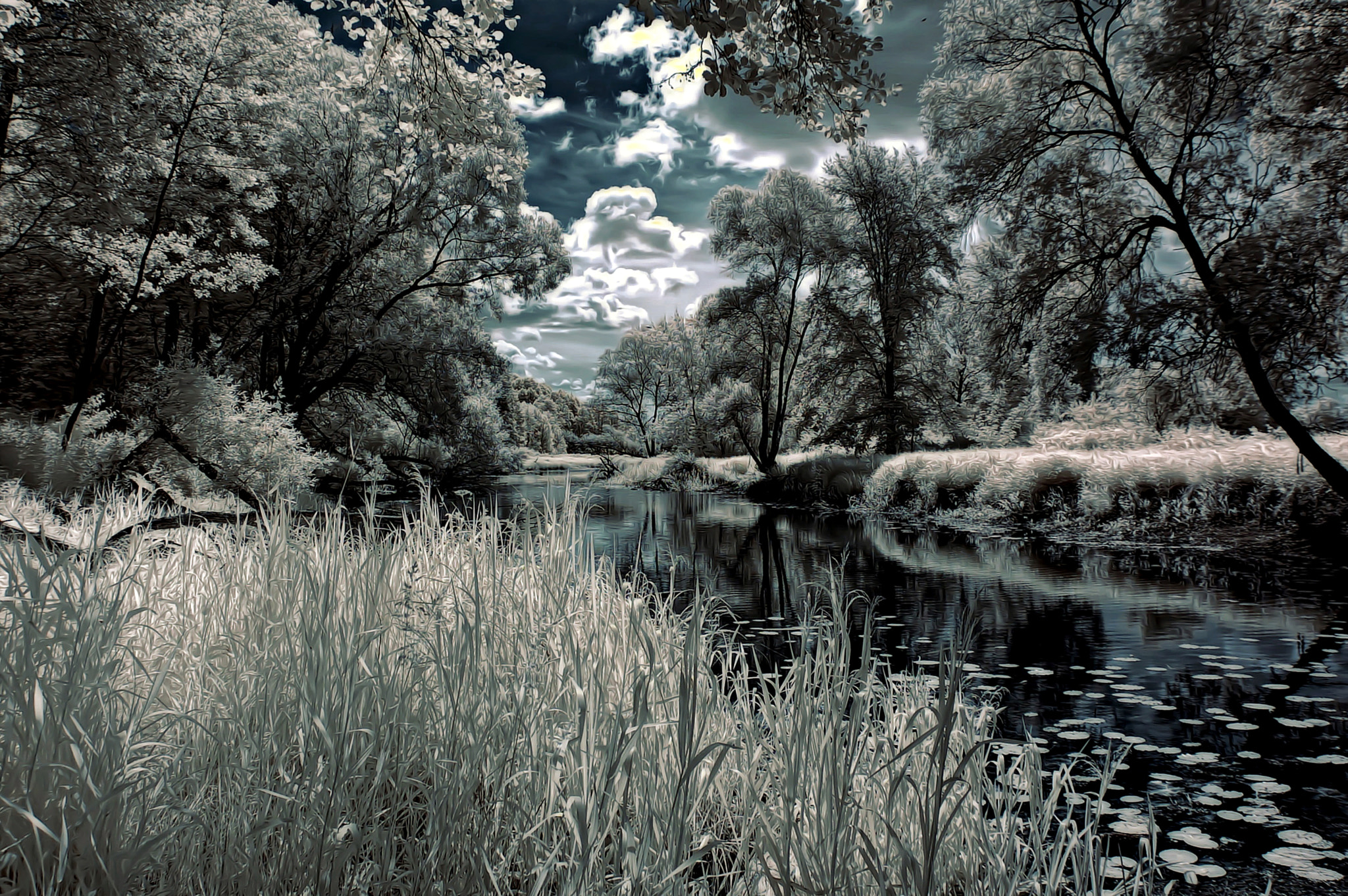 Nikon D50 sample photo. Ir photography