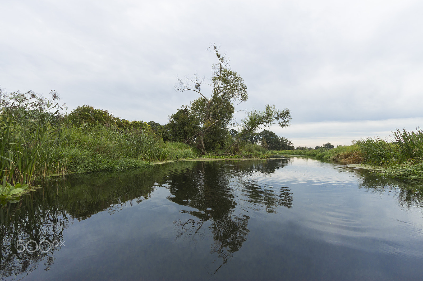 Canon EF-S 10-22mm F3.5-4.5 USM sample photo. River wkra, poland photography