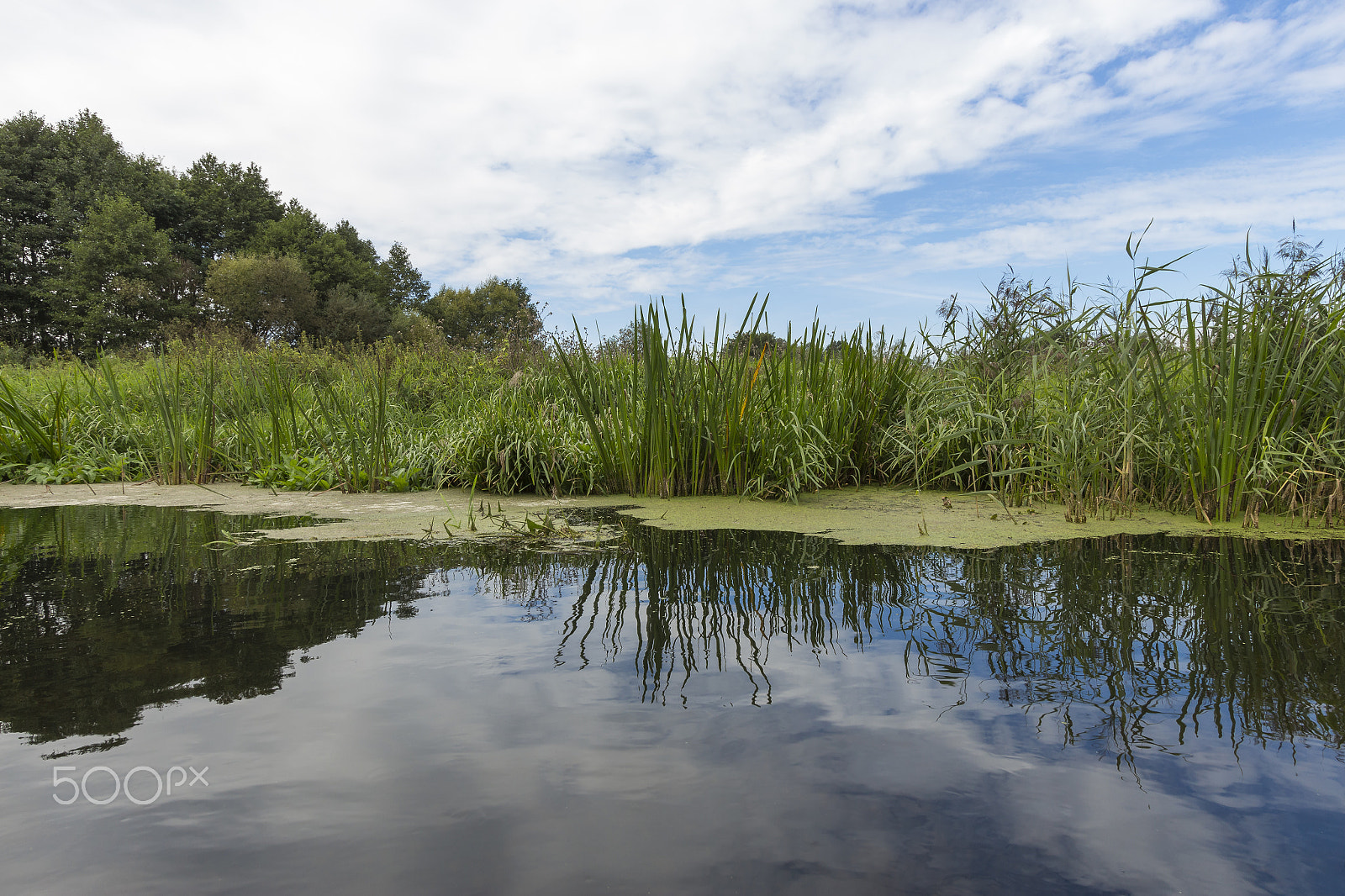 Canon EF-S 10-22mm F3.5-4.5 USM sample photo. River wkra, poland photography