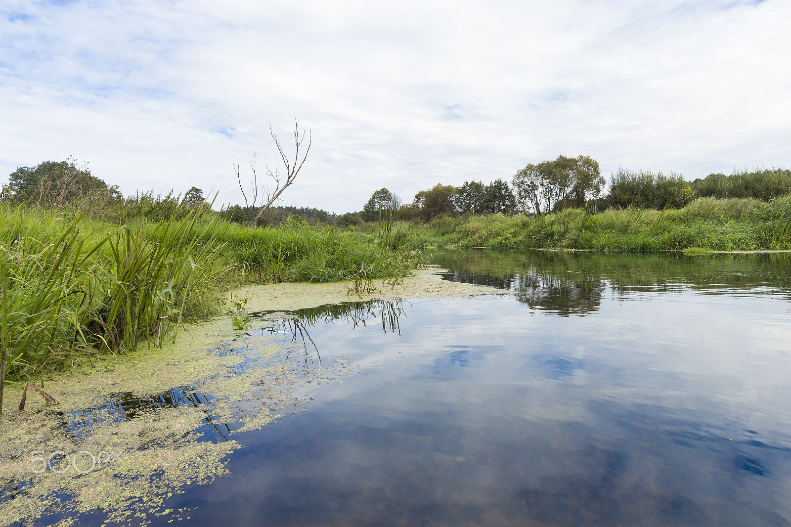 Canon EF-S 10-22mm F3.5-4.5 USM sample photo. River wkra, poland photography