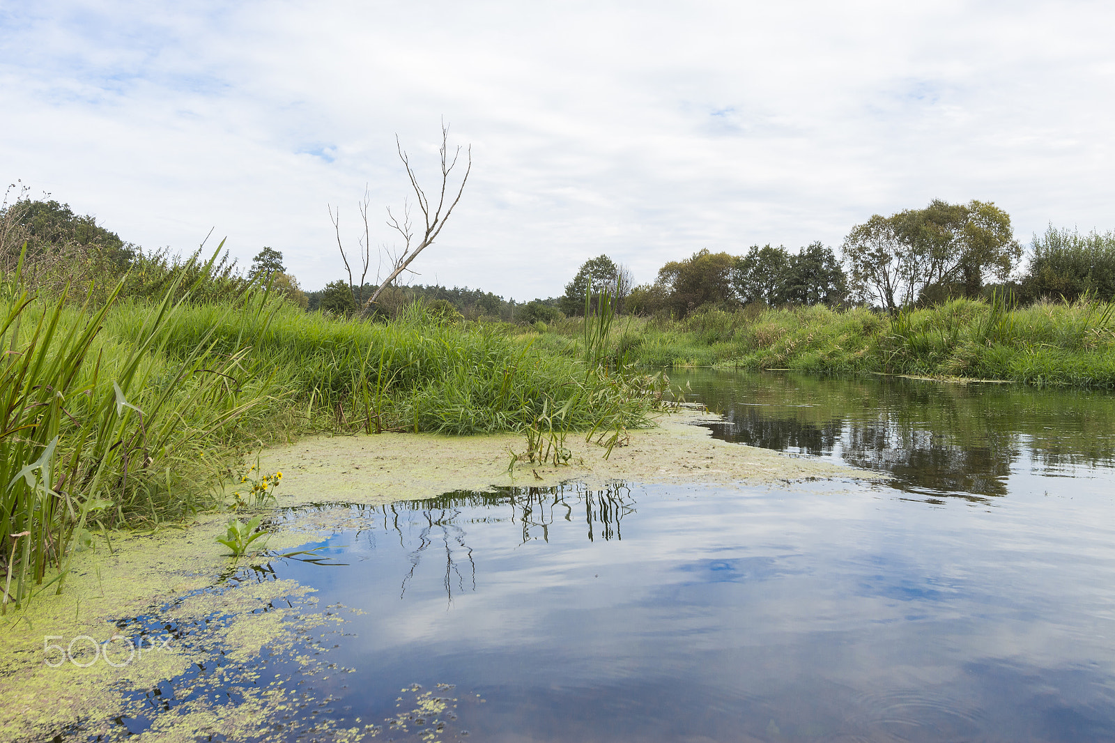 Canon EF-S 10-22mm F3.5-4.5 USM sample photo. River wkra, poland photography
