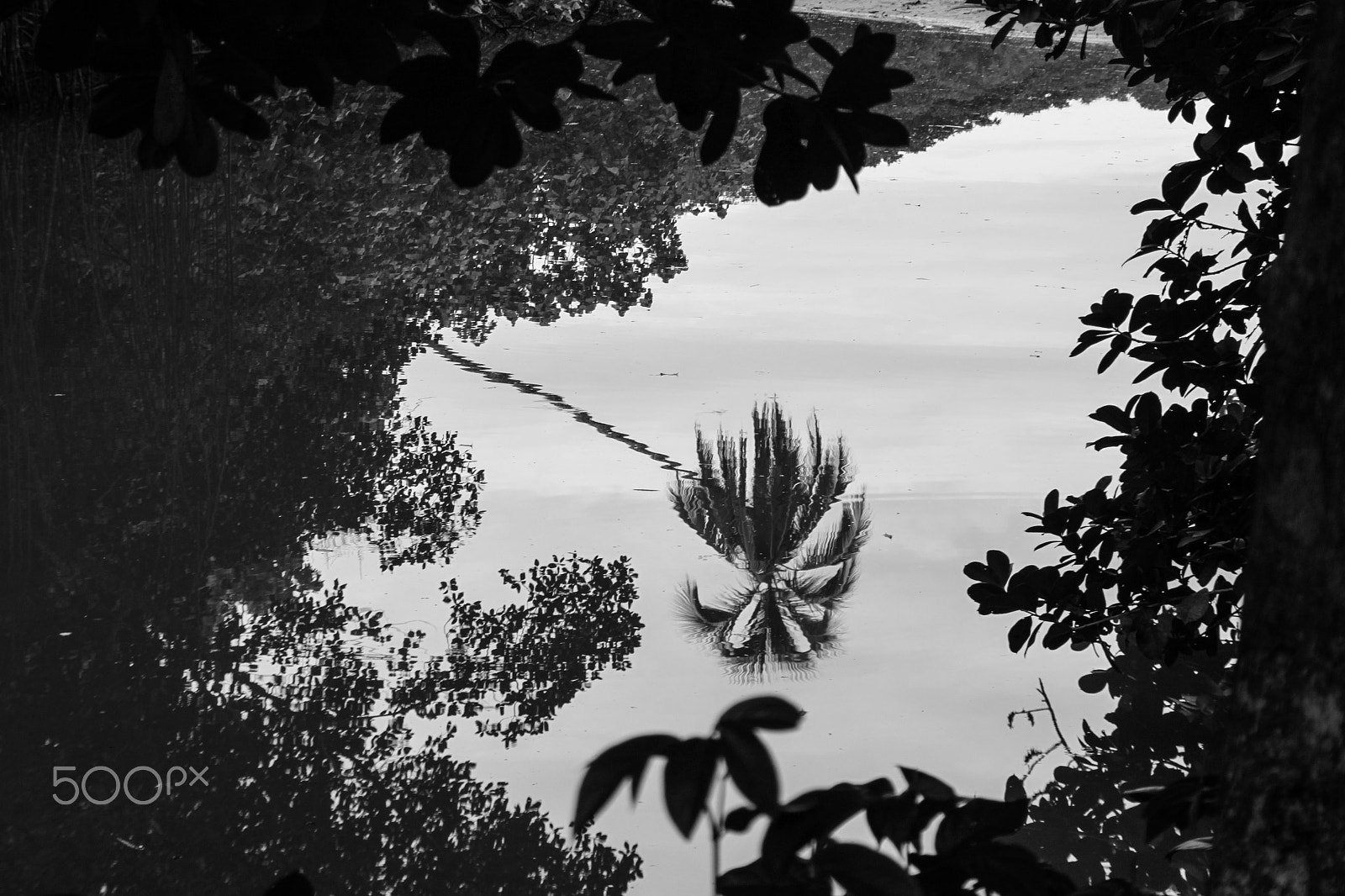 Canon EOS 500D (EOS Rebel T1i / EOS Kiss X3) sample photo. Mirror – costa rica photography