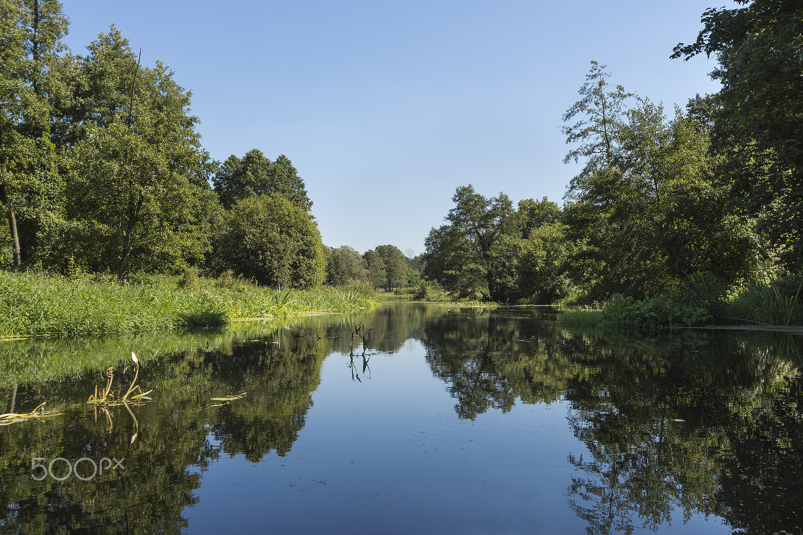 Canon EF-S 10-22mm F3.5-4.5 USM sample photo. River wkra, poland photography