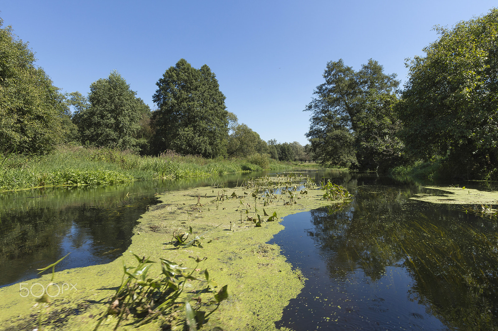Canon EF-S 10-22mm F3.5-4.5 USM sample photo. River wkra, poland photography