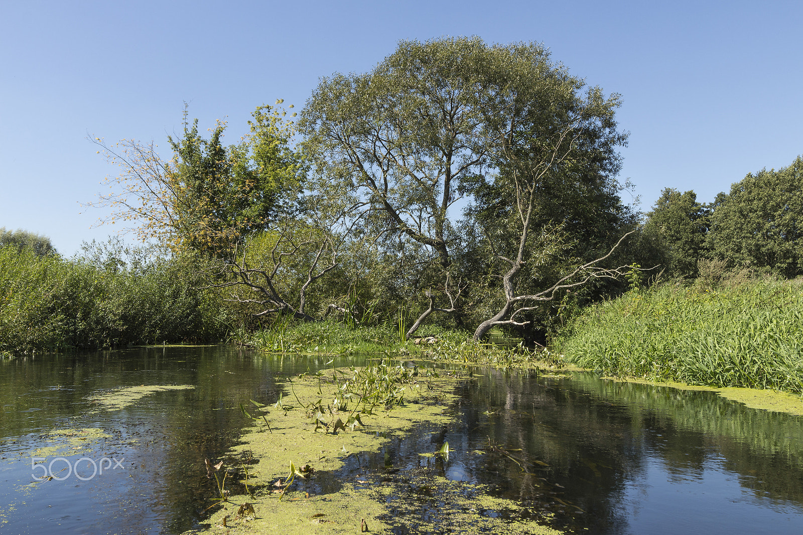 Canon EF-S 10-22mm F3.5-4.5 USM sample photo. River wkra, poland photography